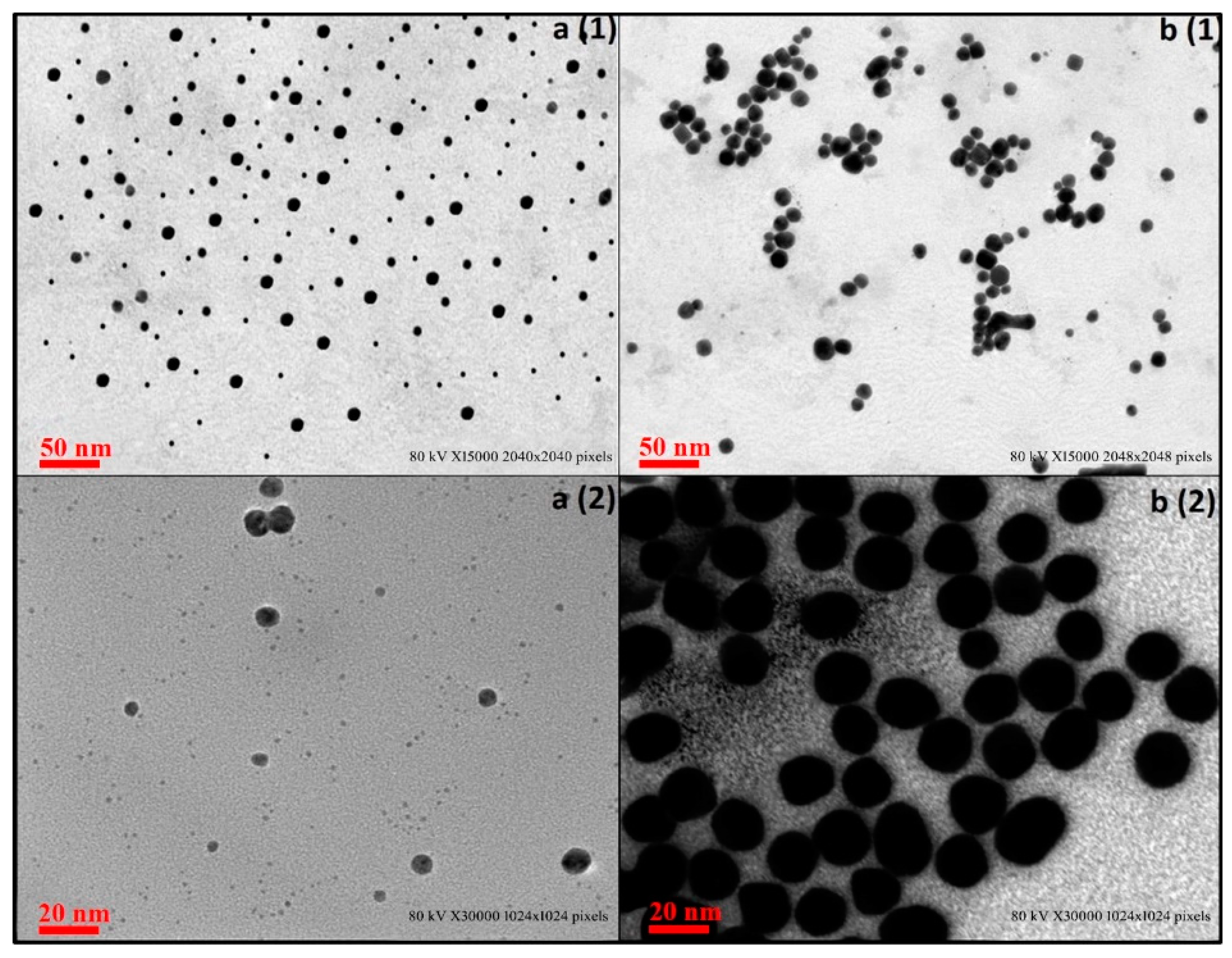 Pharmaceutics 13 01896 g005