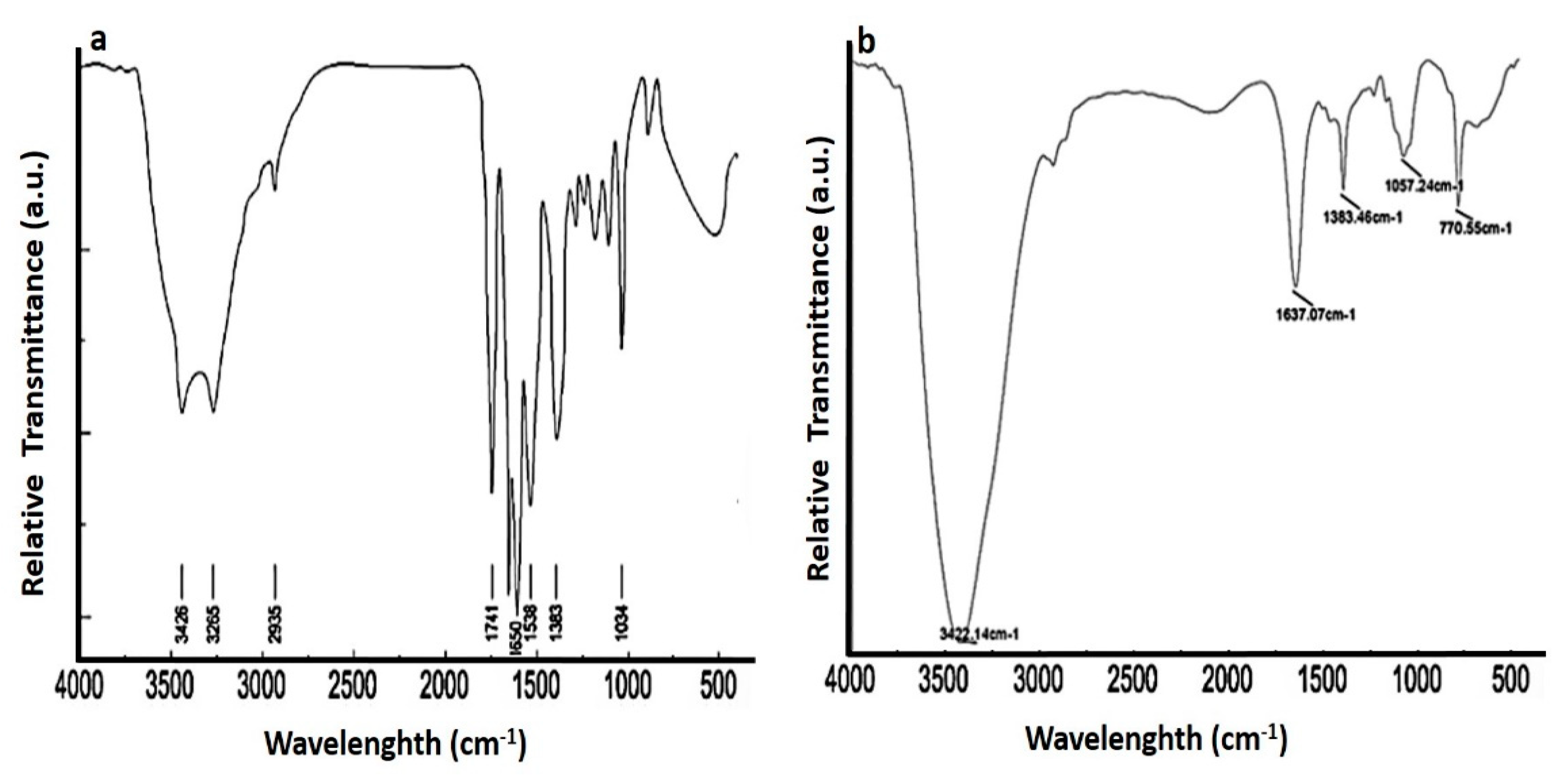 Pharmaceutics 13 01896 g006