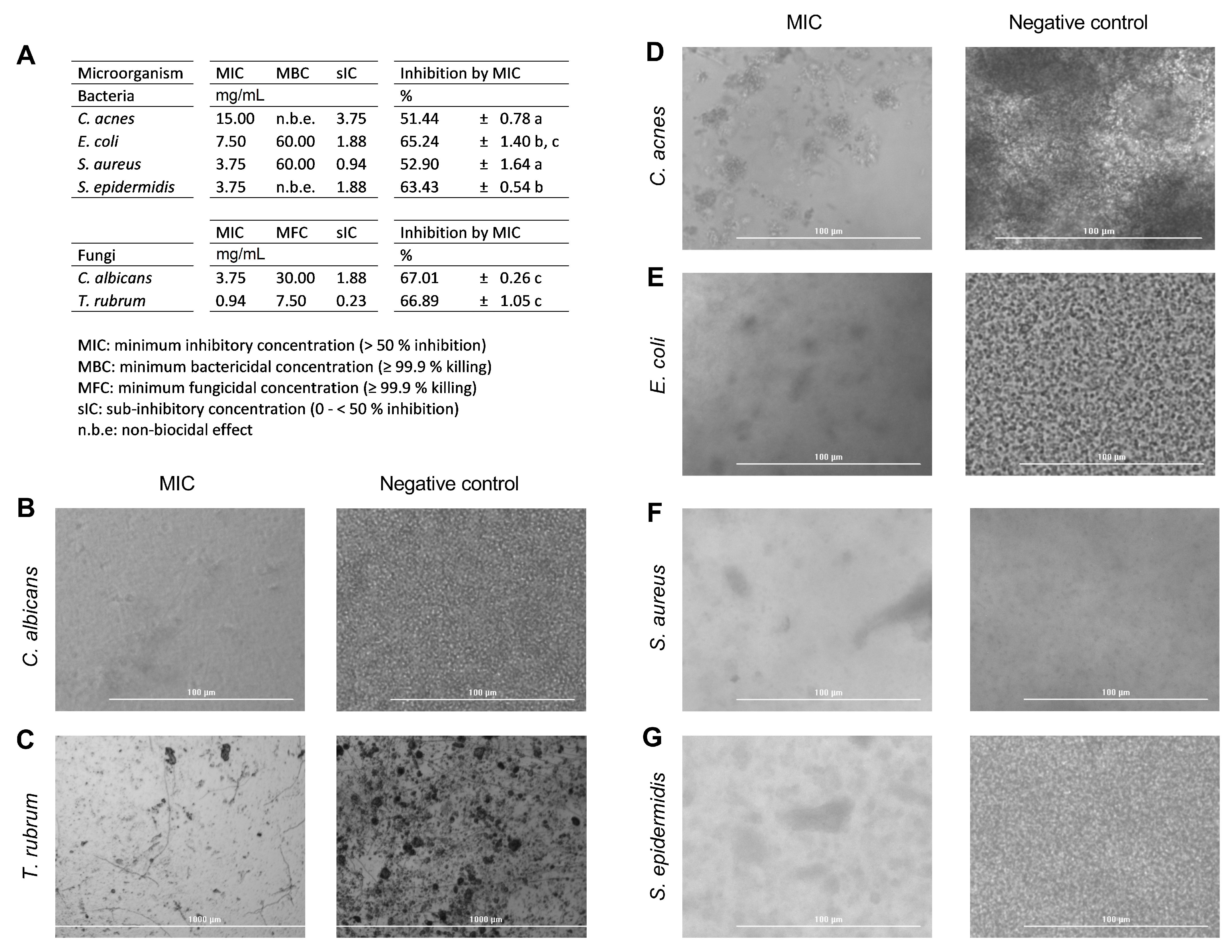Pharmaceutics 13 01898 g004