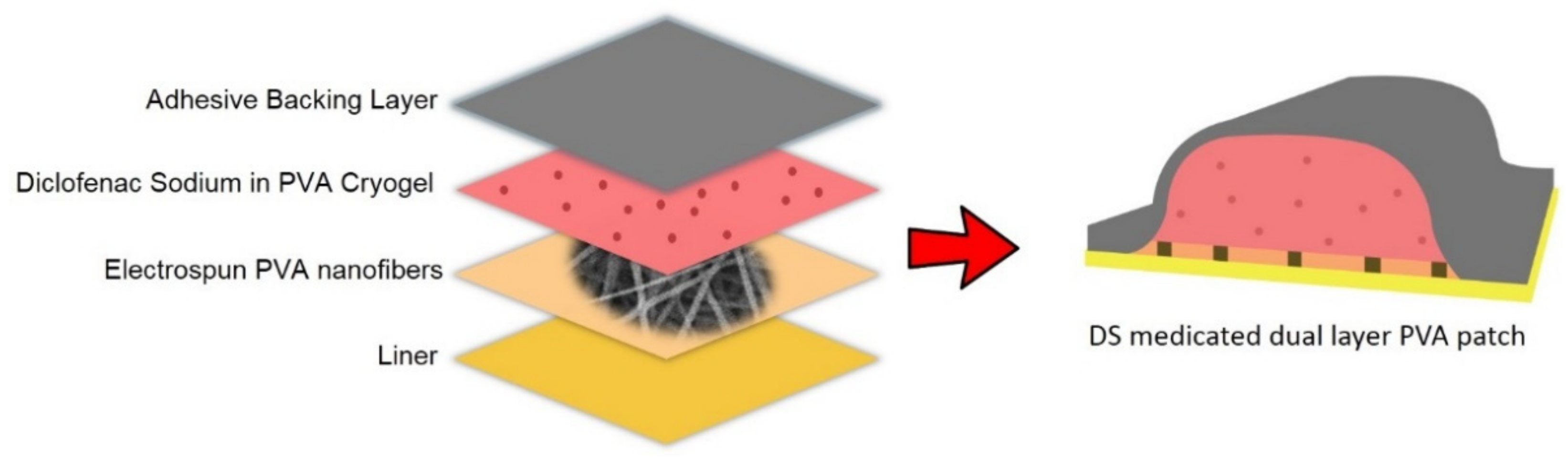 Pharmaceutics 13 01900 g010