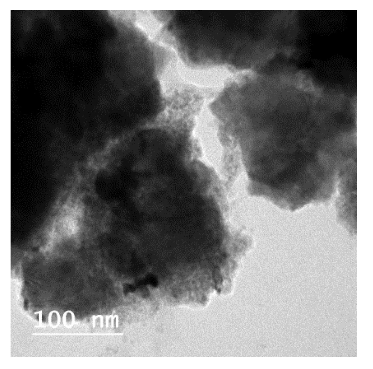 Pharmaceutics 13 01905 g009