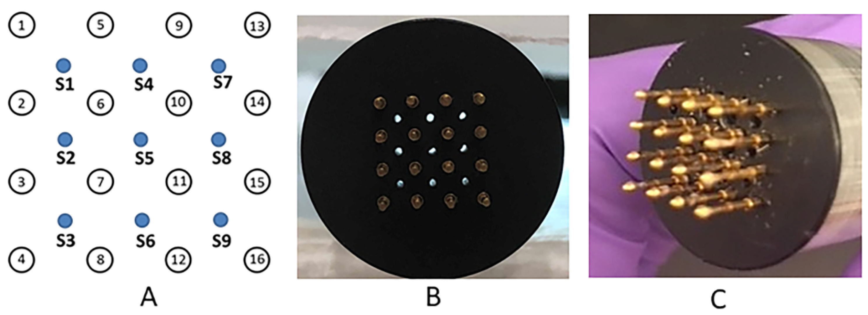 Pharmaceutics 13 01908 g001