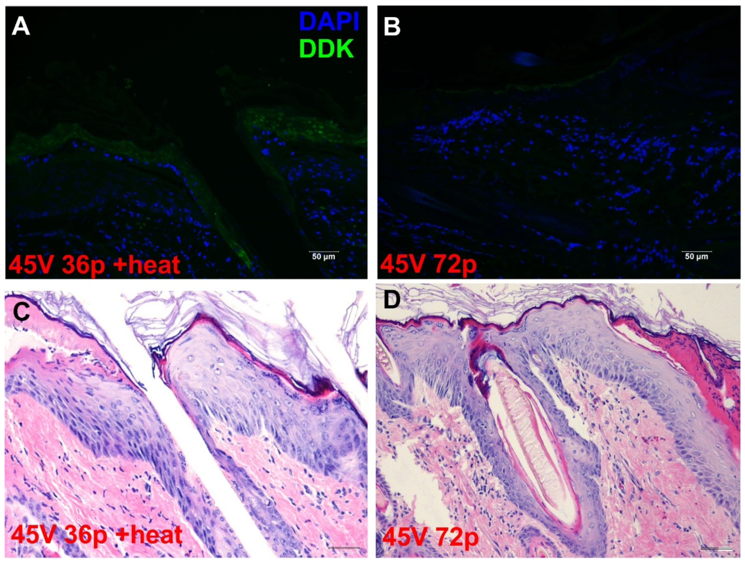 Pharmaceutics 13 01908 g006