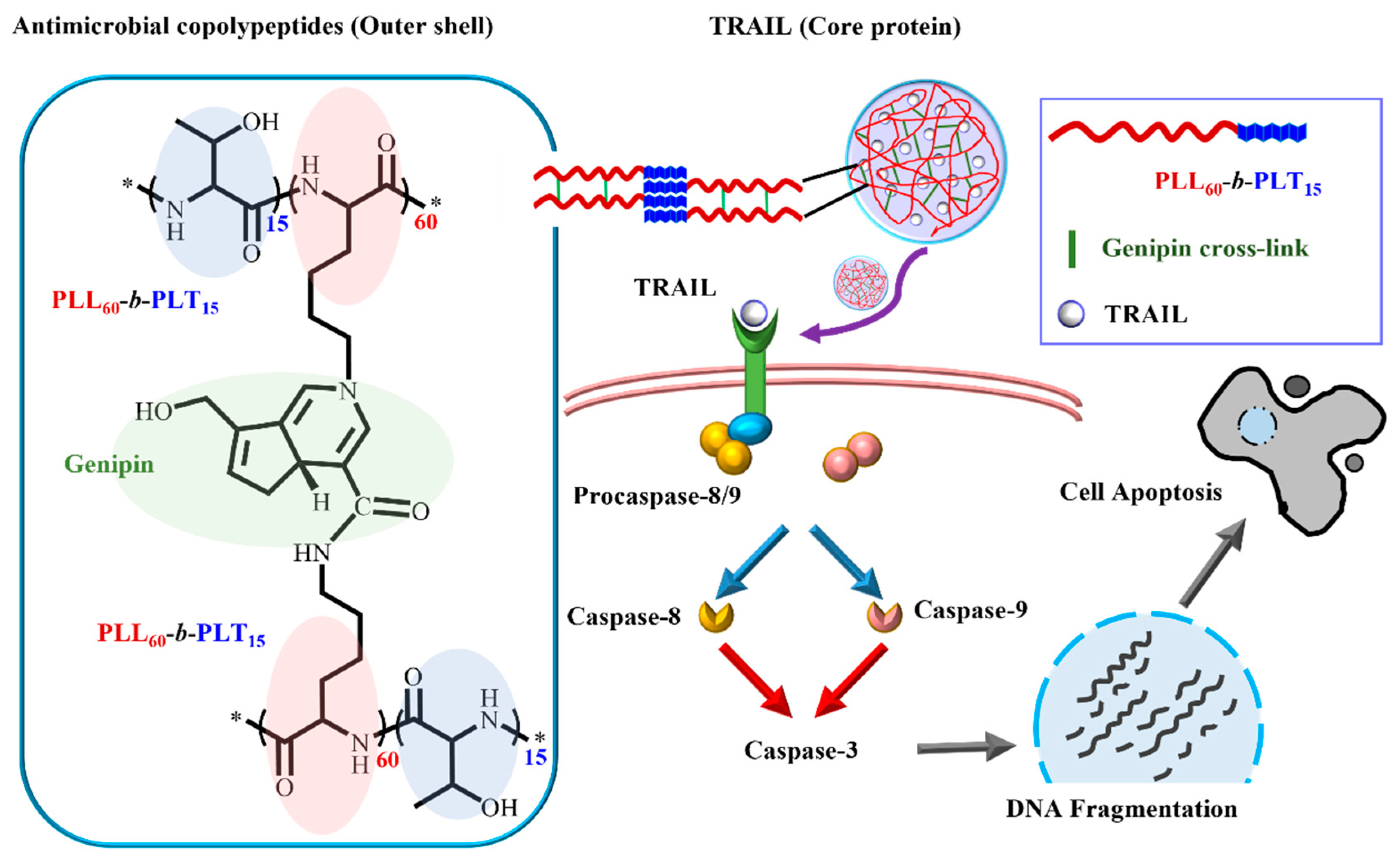 Pharmaceutics 13 01913 g001