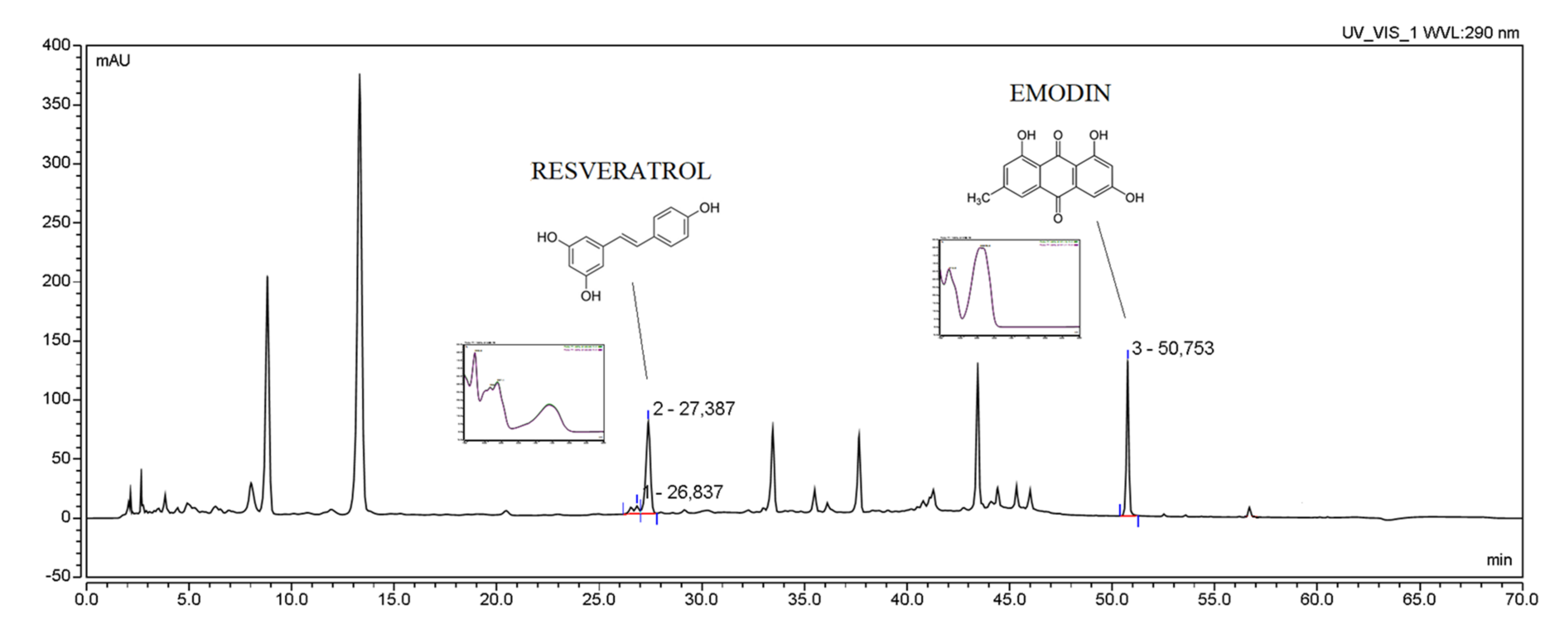 Pharmaceutics 13 01916 g001 Pharmaceutics 13 01916 g001