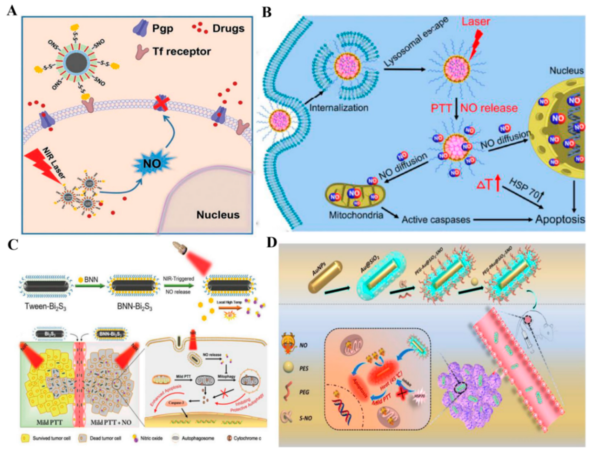Pharmaceutics 13 01917 g002