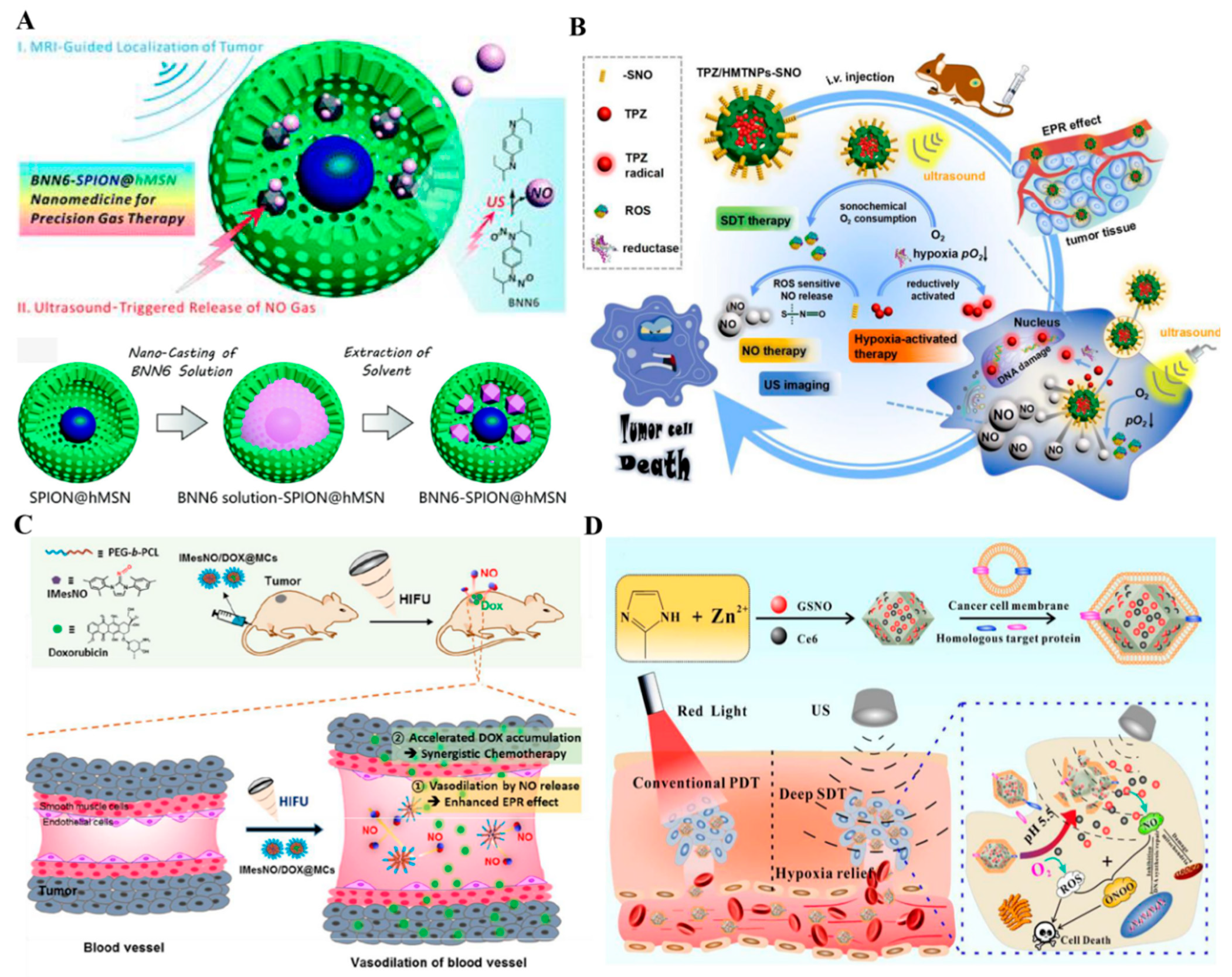 Pharmaceutics 13 01917 g005