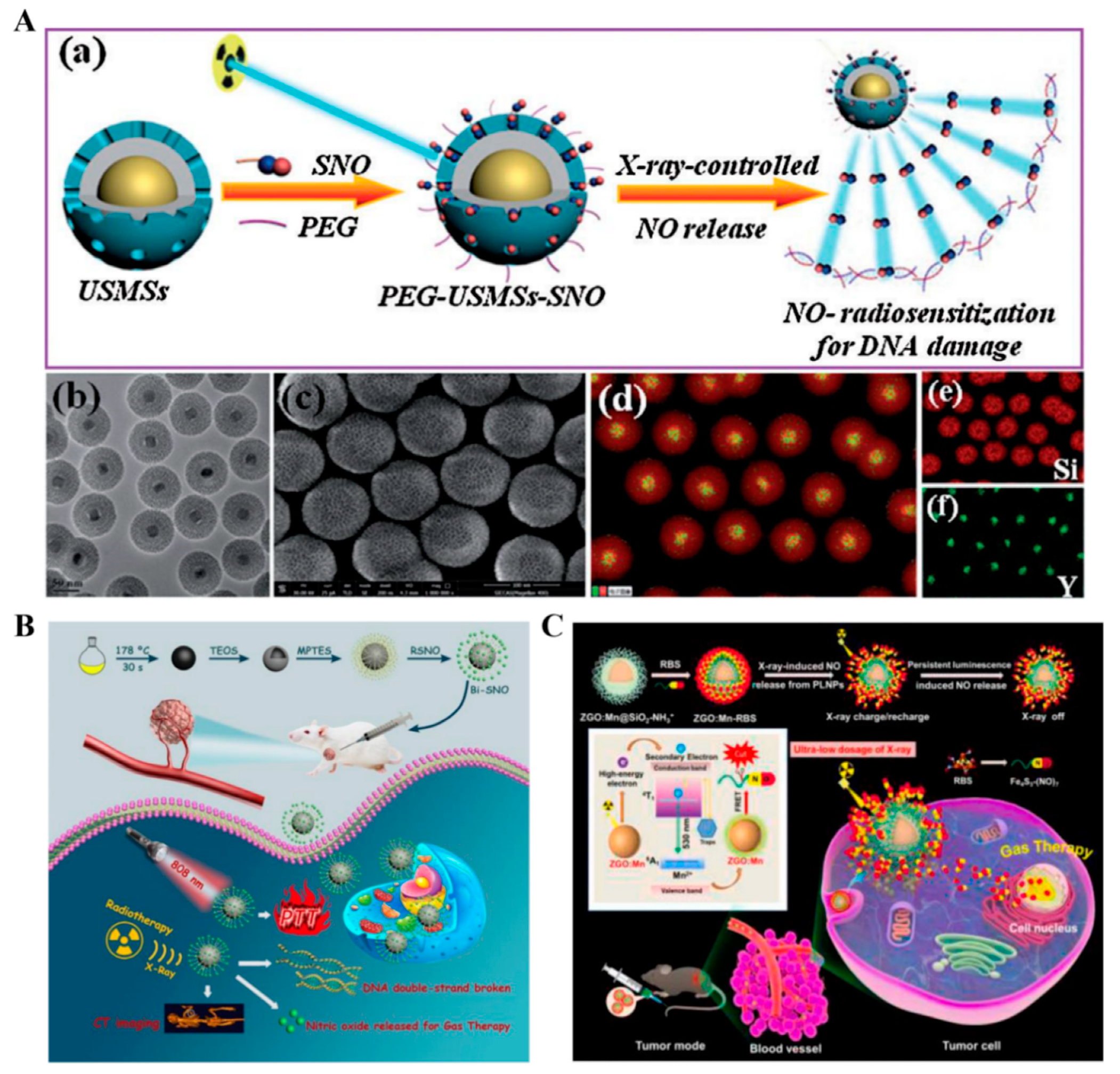 Pharmaceutics 13 01917 g006