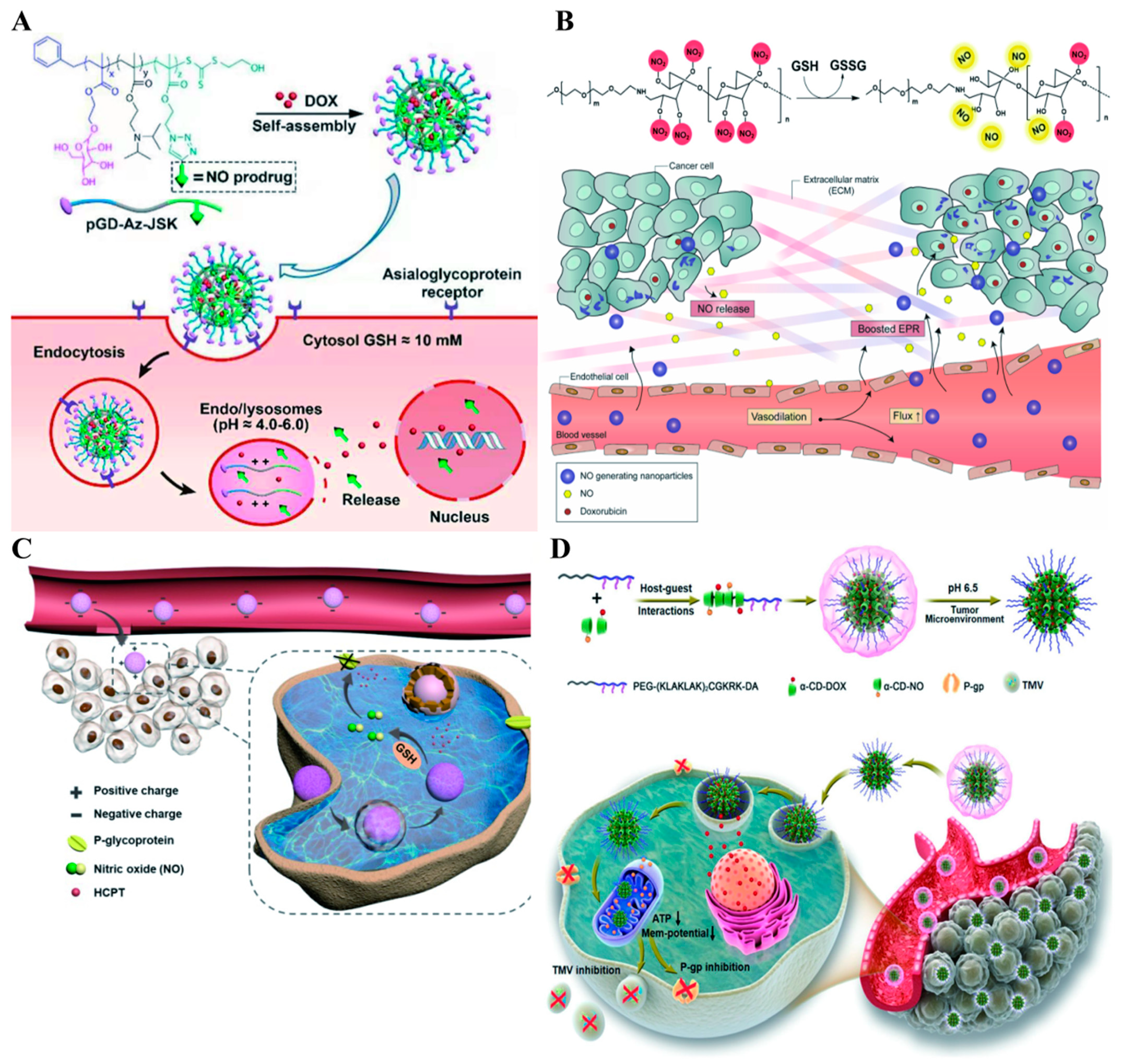 Pharmaceutics 13 01917 g007