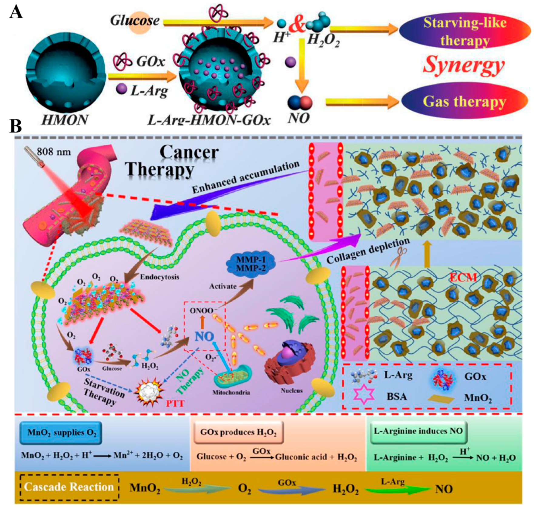 Pharmaceutics 13 01917 g009
