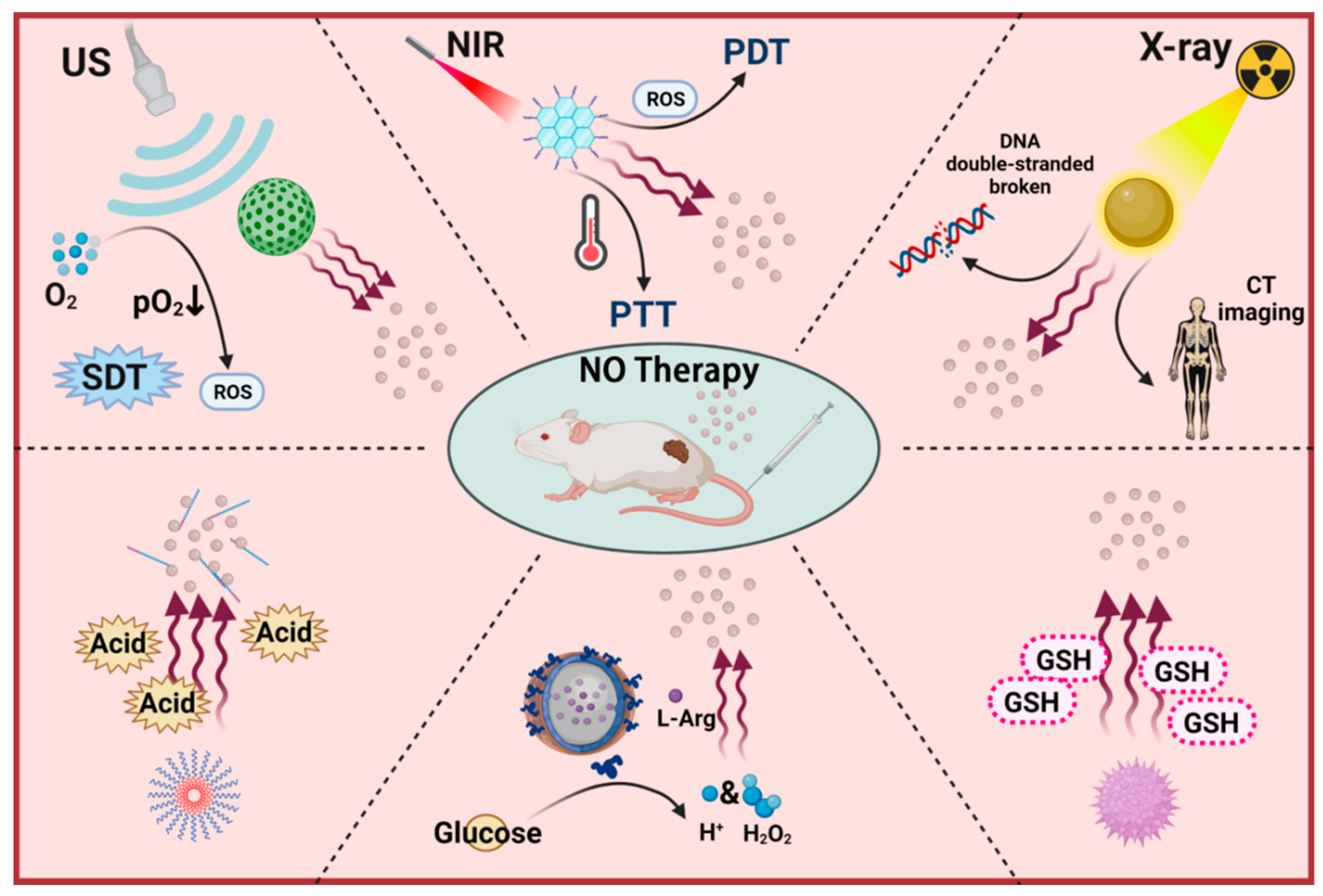Pharmaceutics 13 01917 sch001