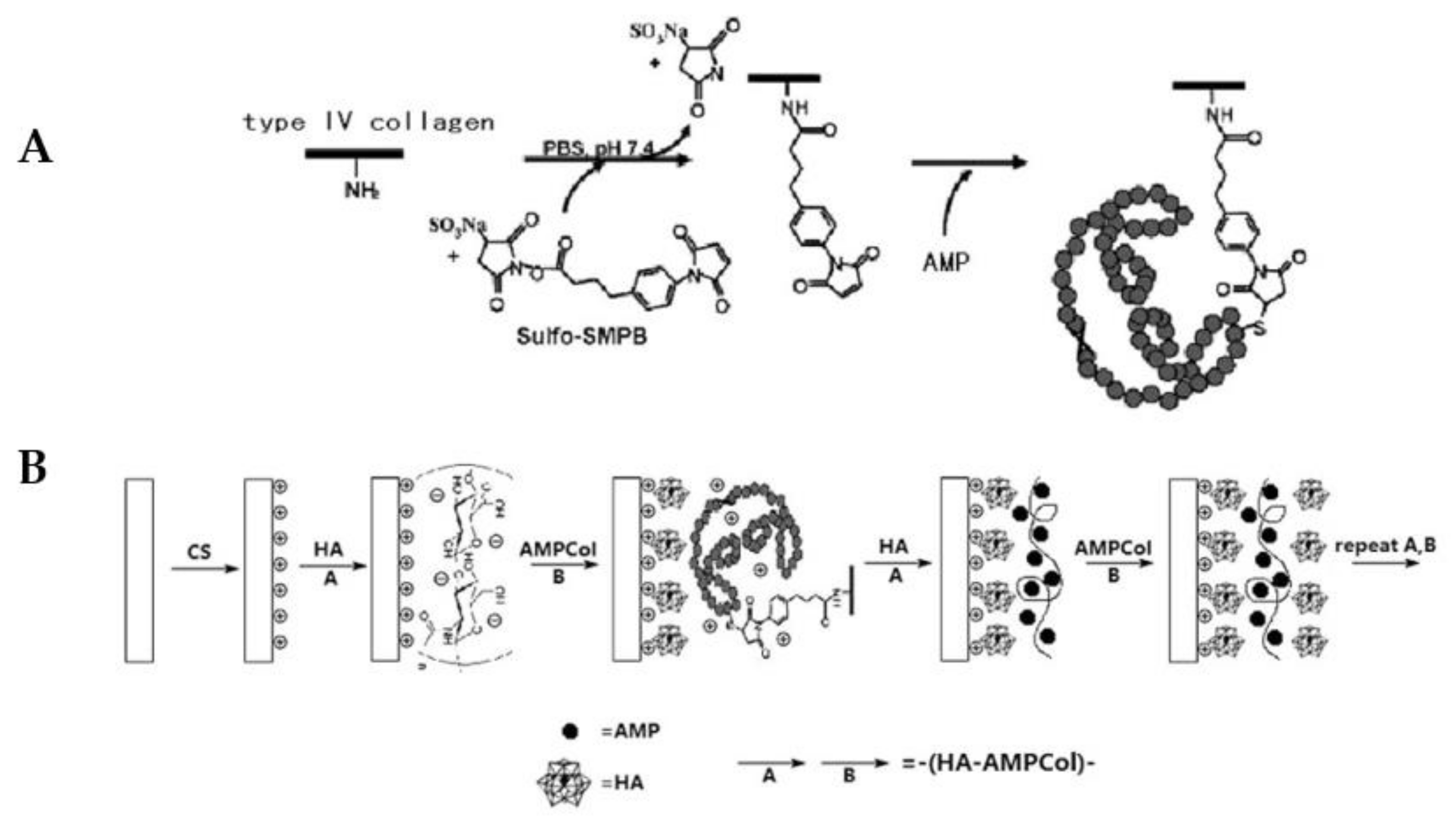Pharmaceutics 13 01918 g003 Pharmaceutics 13 01918 g003