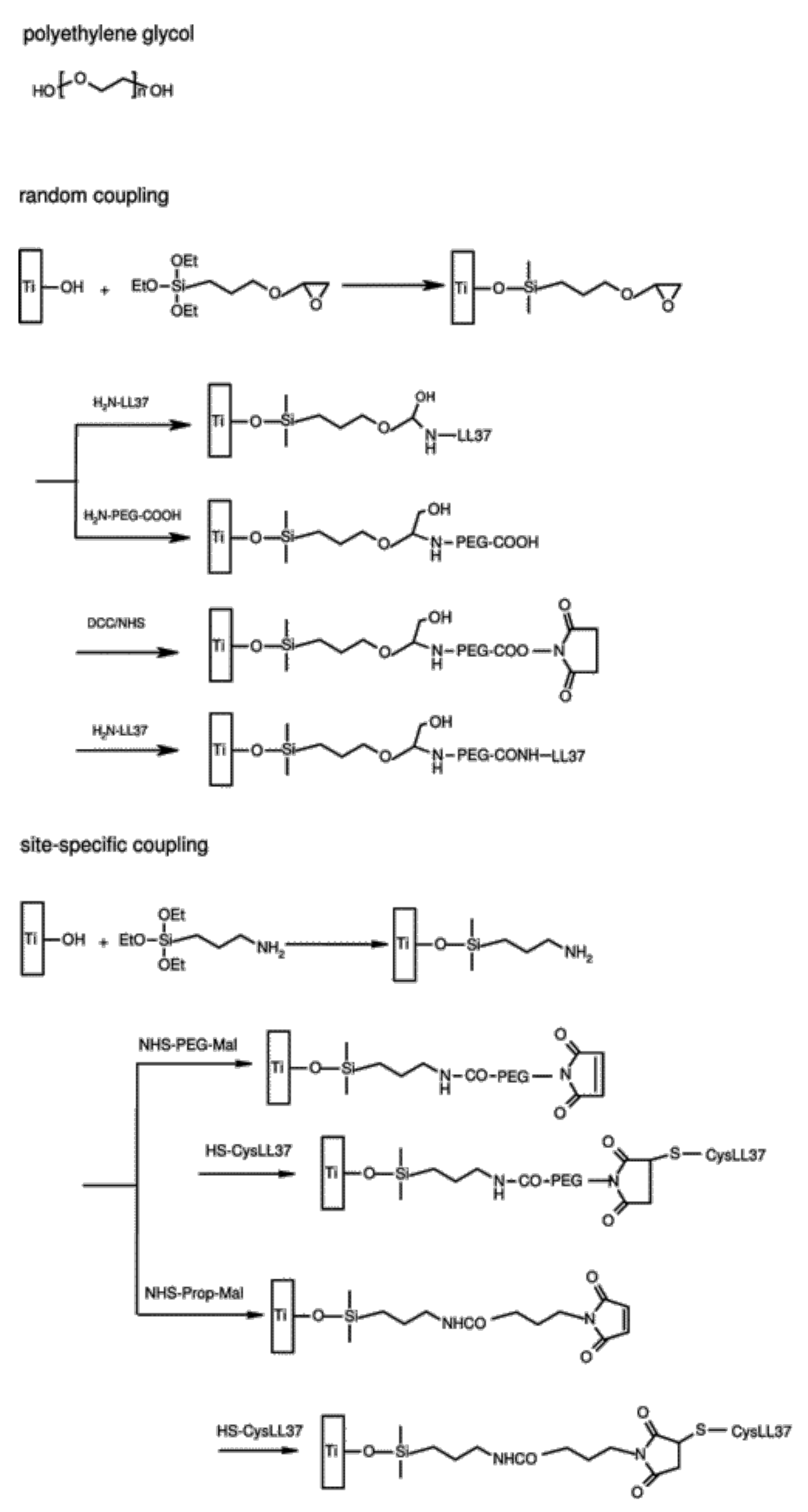 Pharmaceutics 13 01918 g004 Pharmaceutics 13 01918 g004
