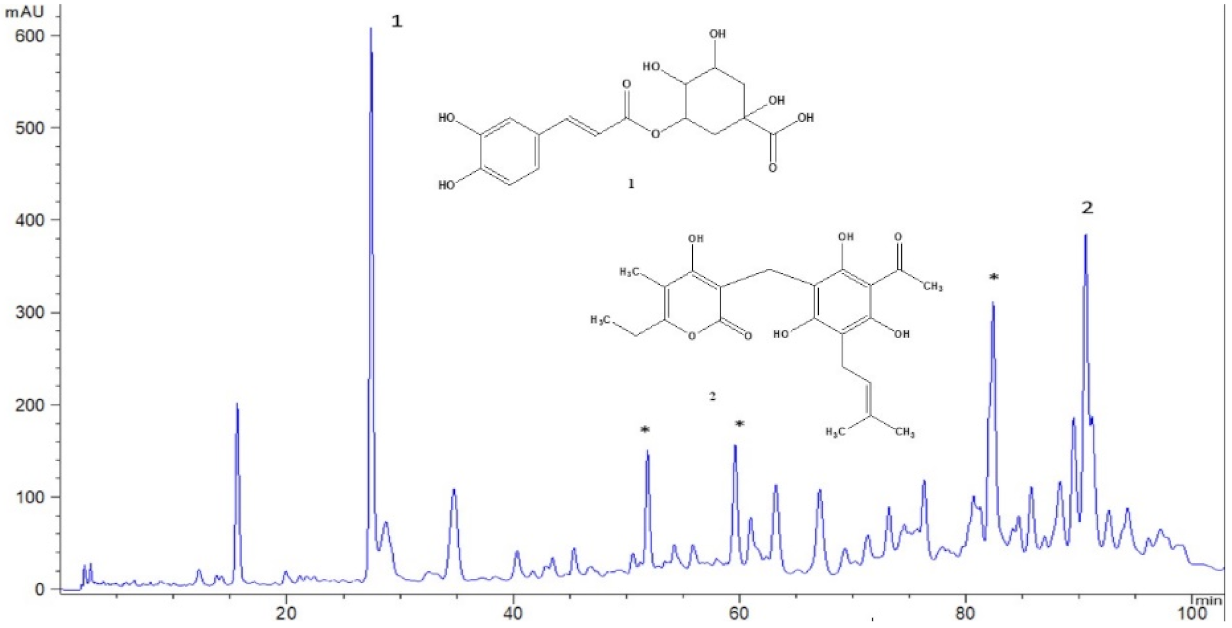 Pharmaceutics 13 01919 g001