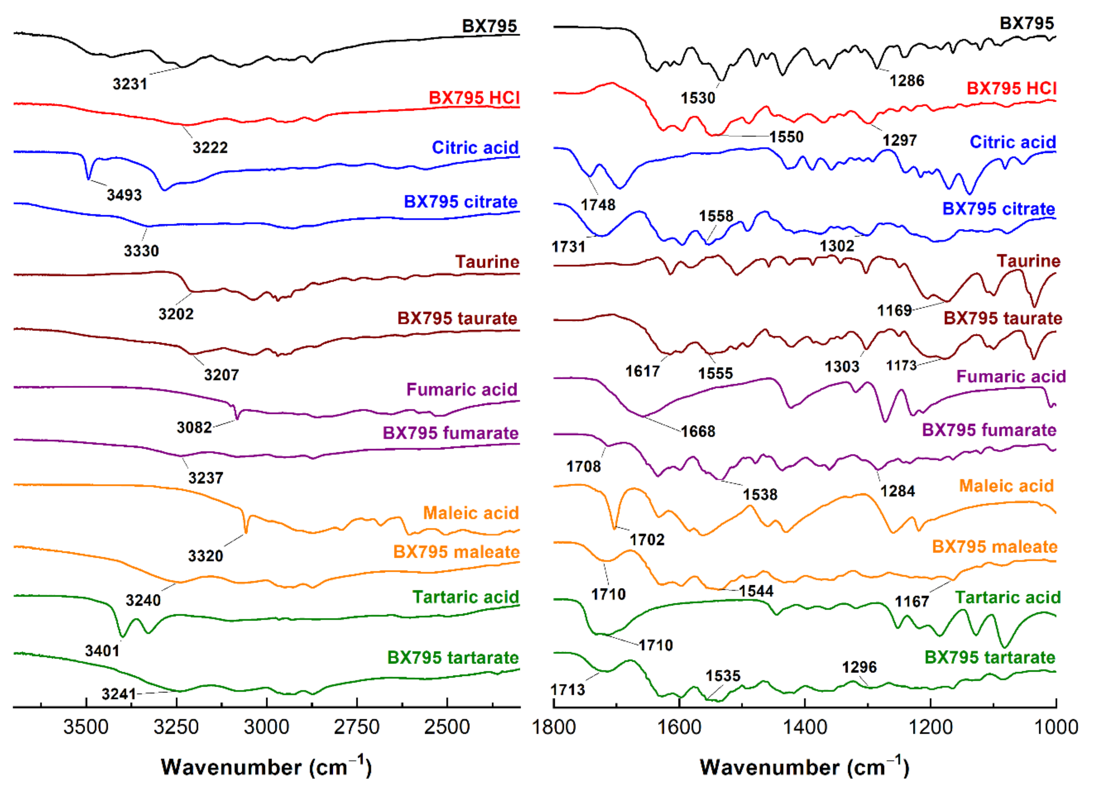 Pharmaceutics 13 01920 g003