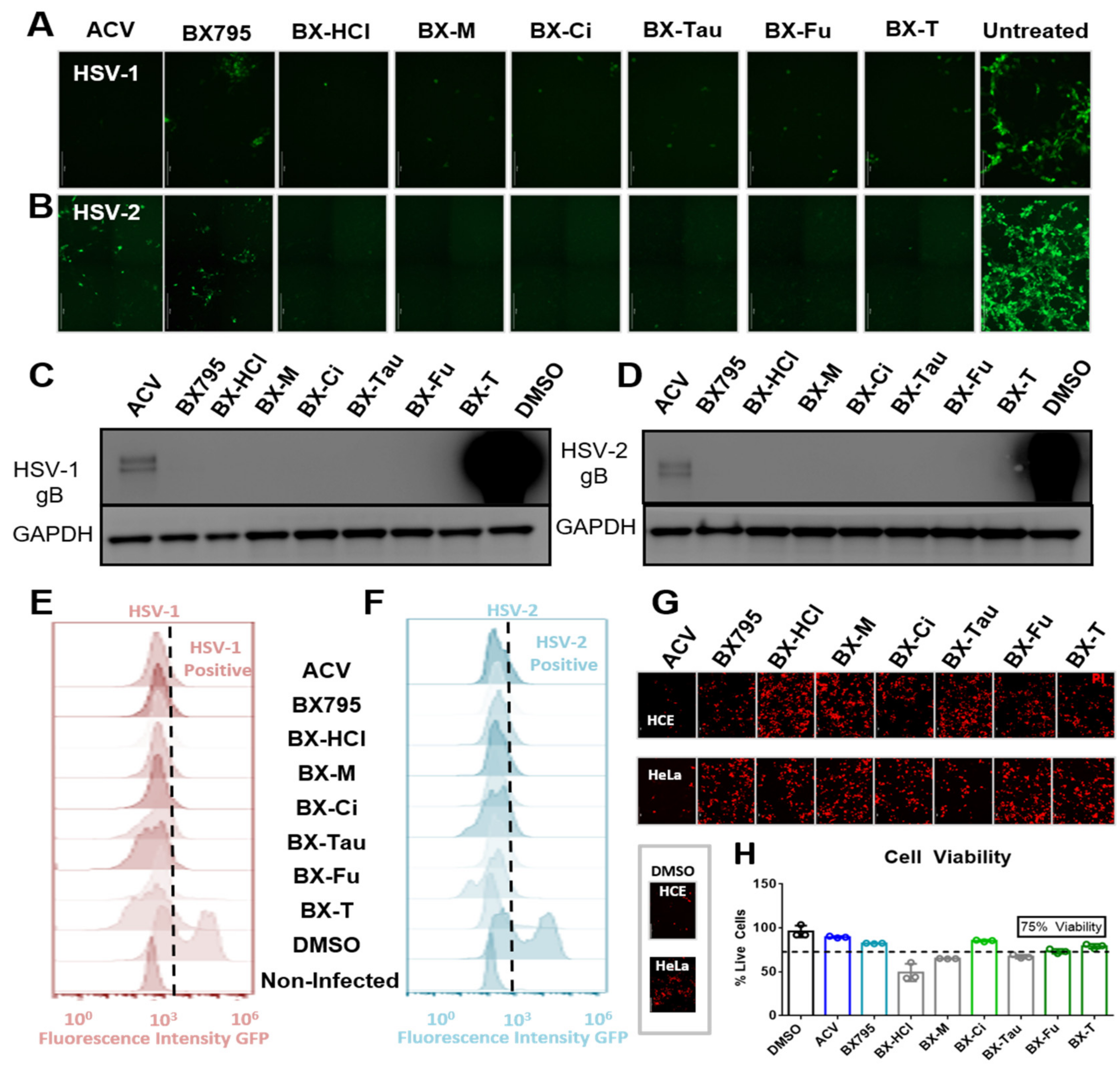Pharmaceutics 13 01920 g006