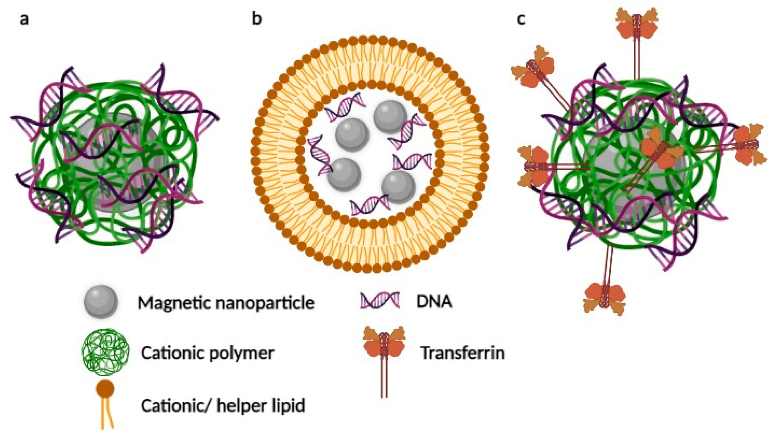 Pharmaceutics 13 01927 g002