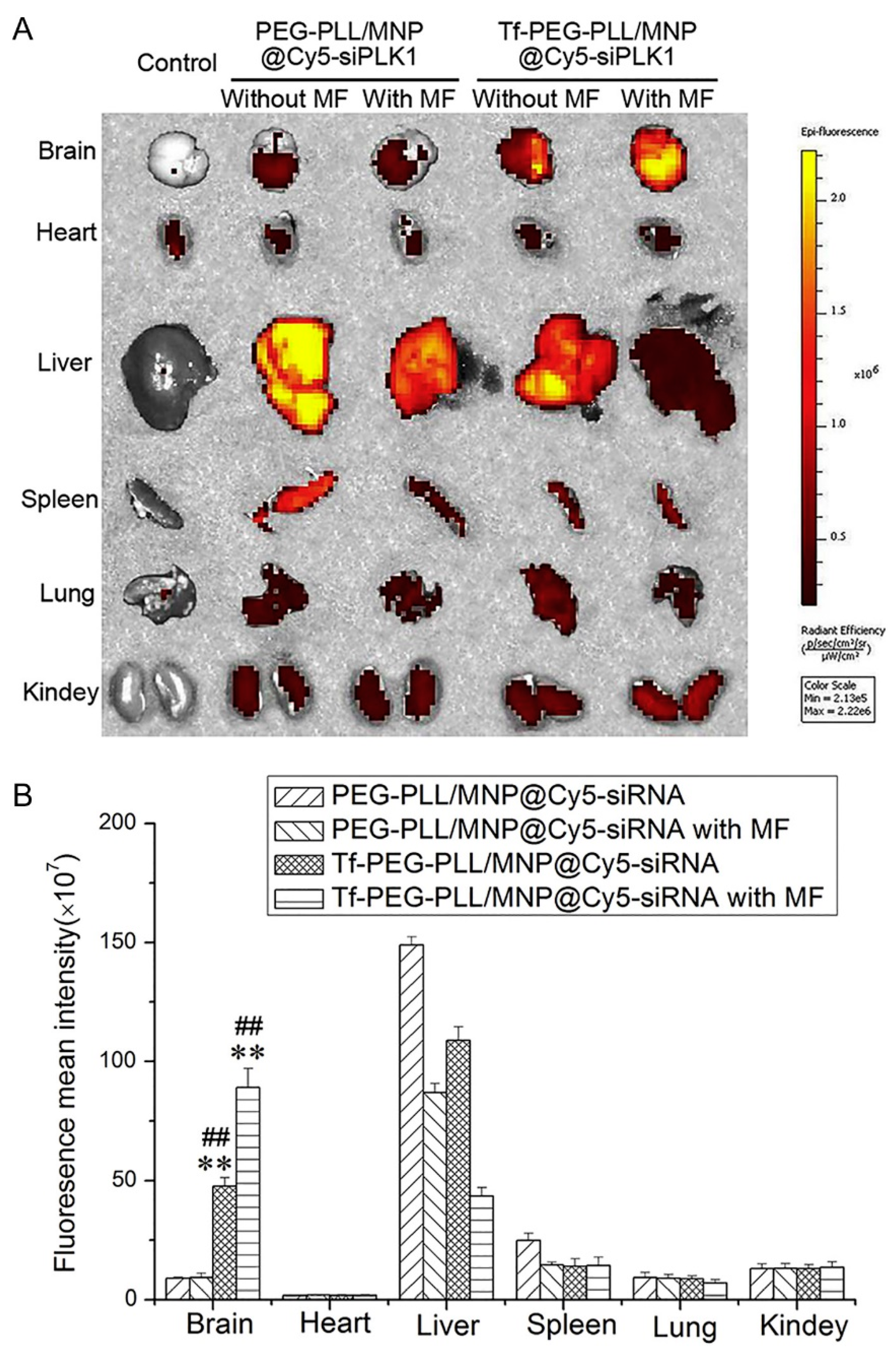Pharmaceutics 13 01927 g005