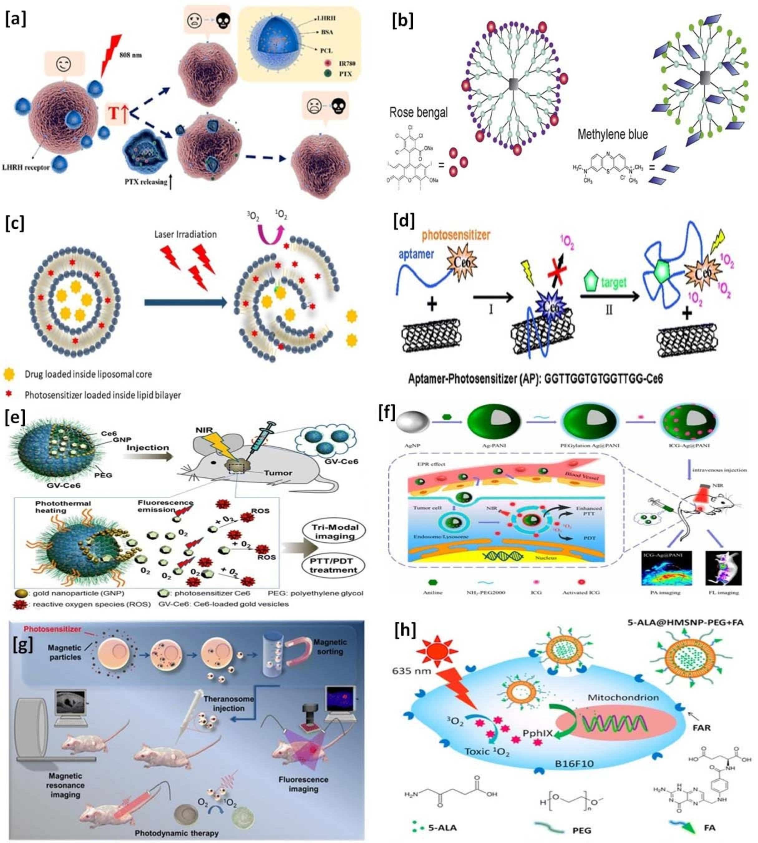 Pharmaceutics 13 01933 g001