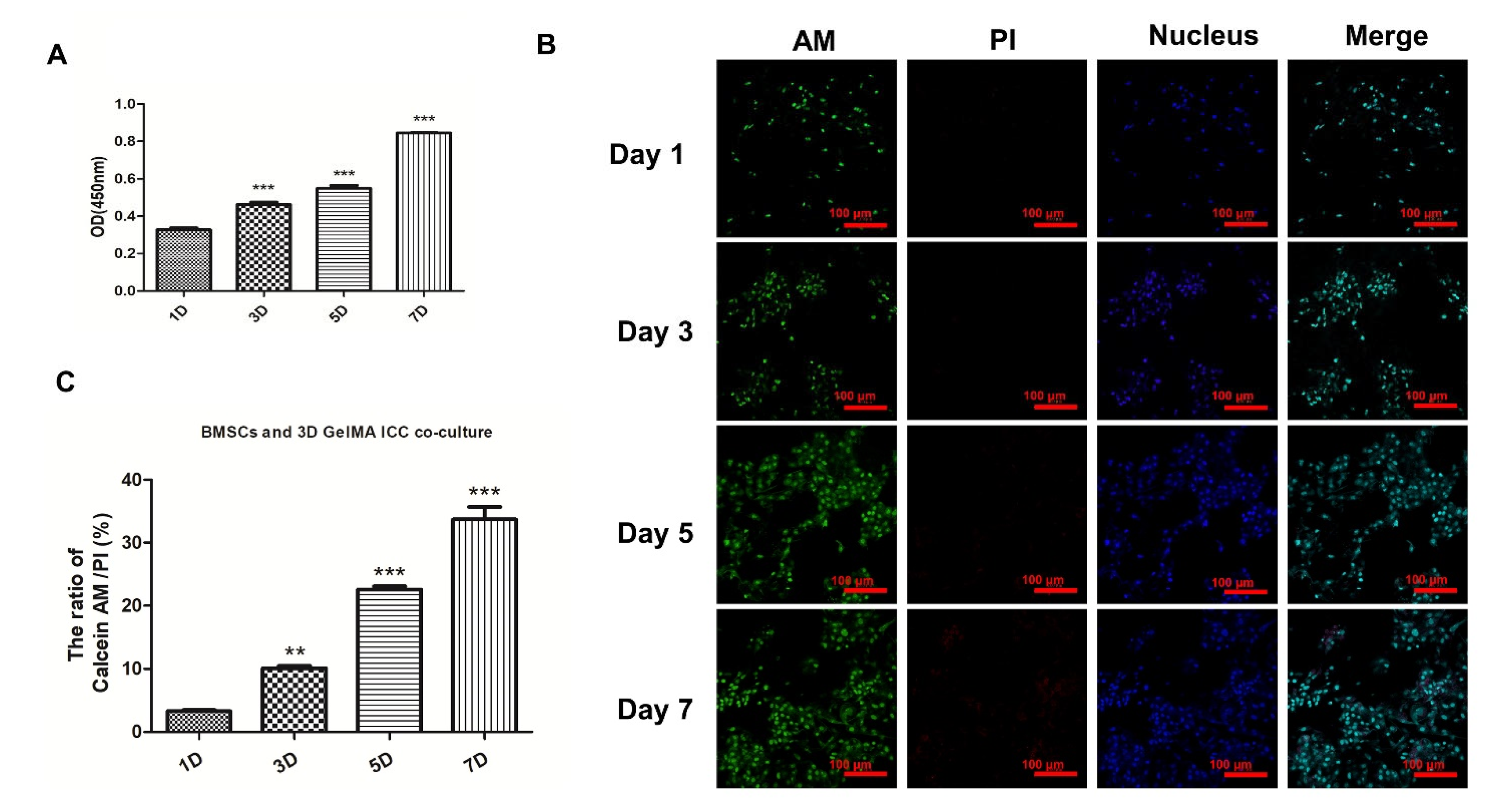 Pharmaceutics 13 01934 g002