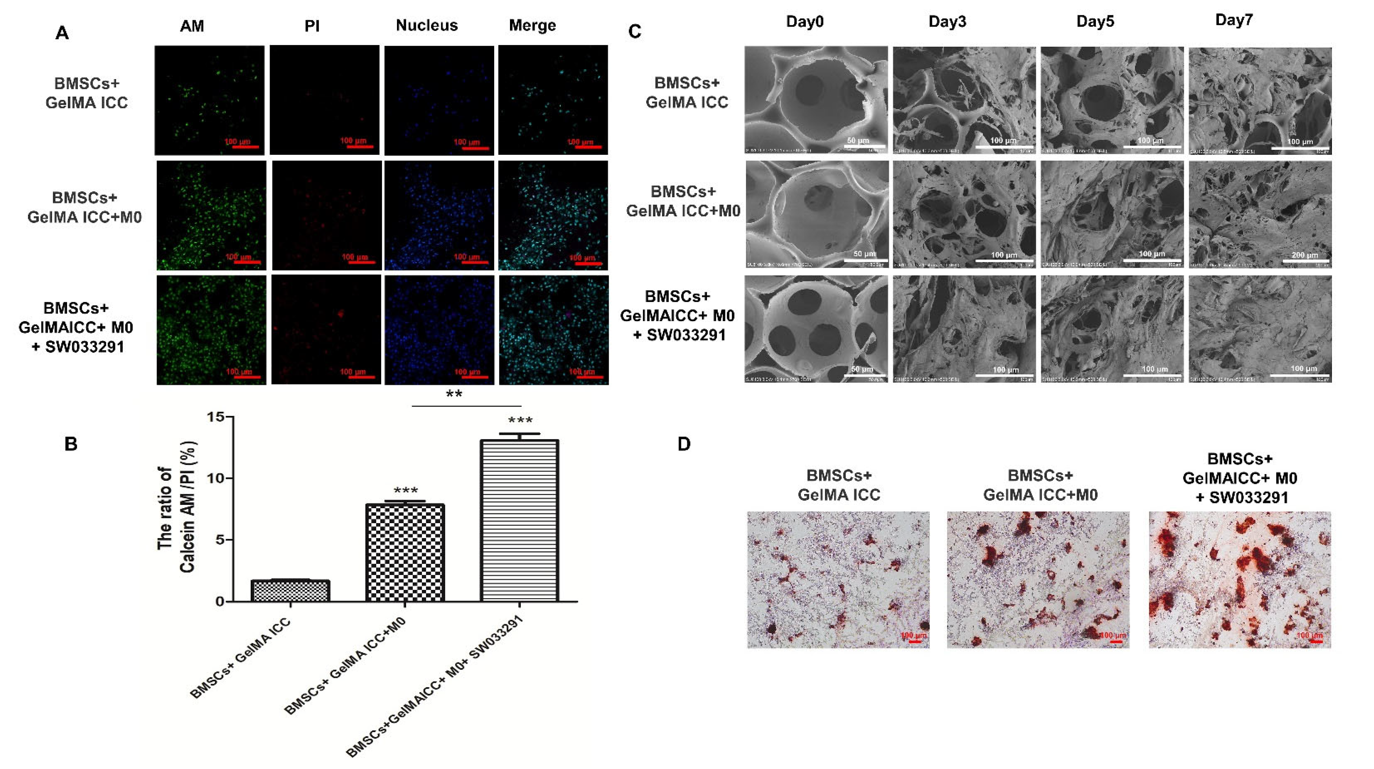 Pharmaceutics 13 01934 g004