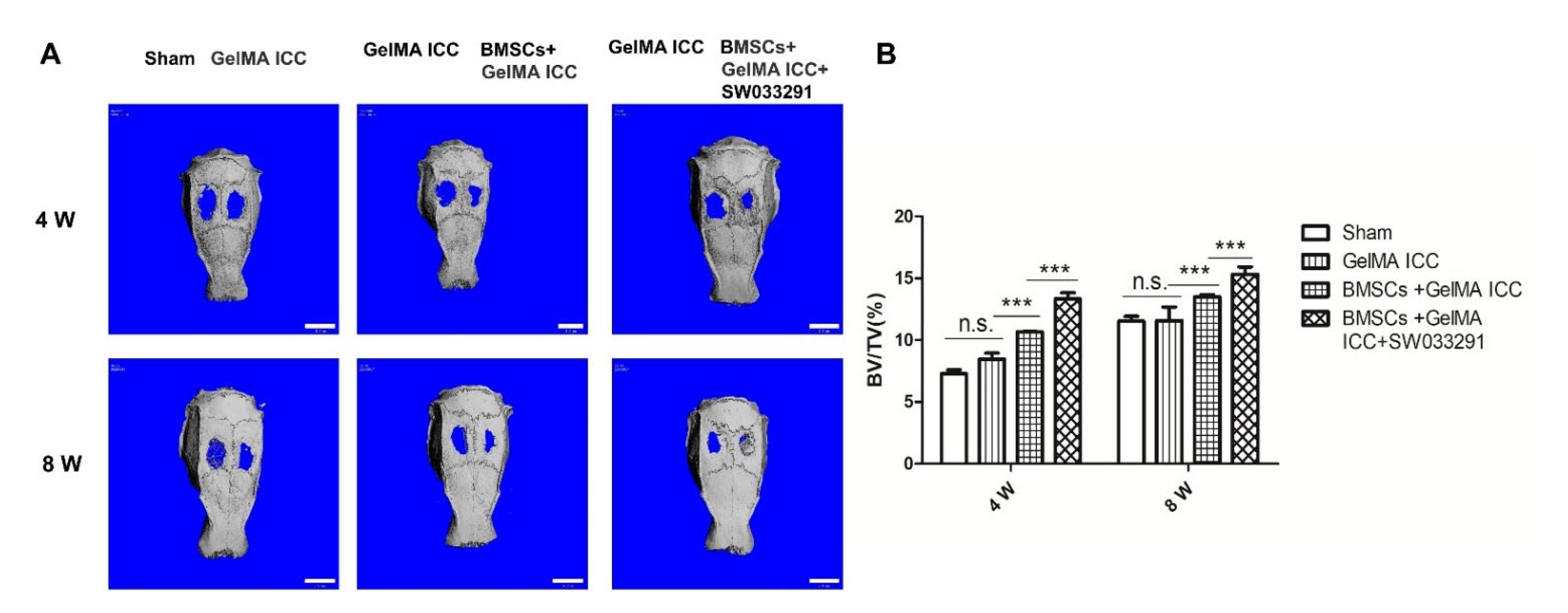 Pharmaceutics 13 01934 g006