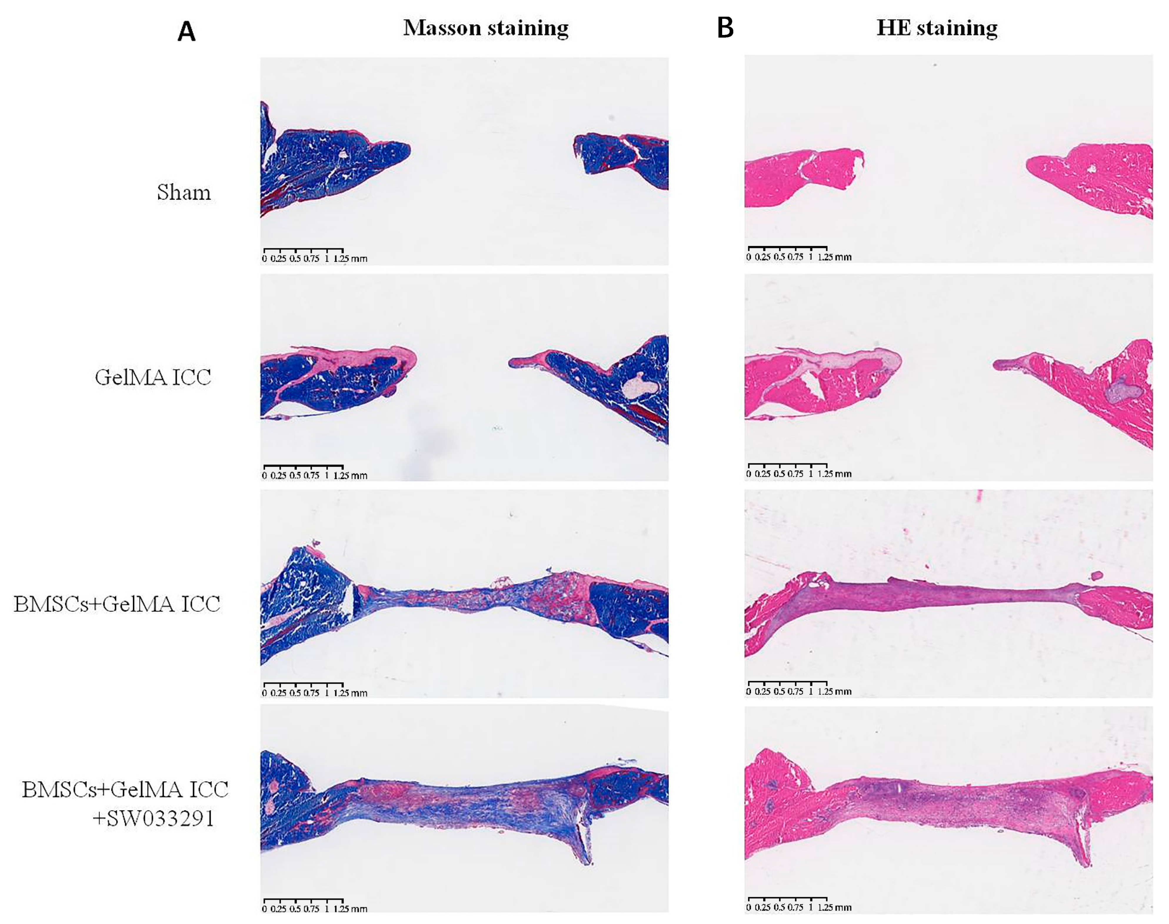 Pharmaceutics 13 01934 g007