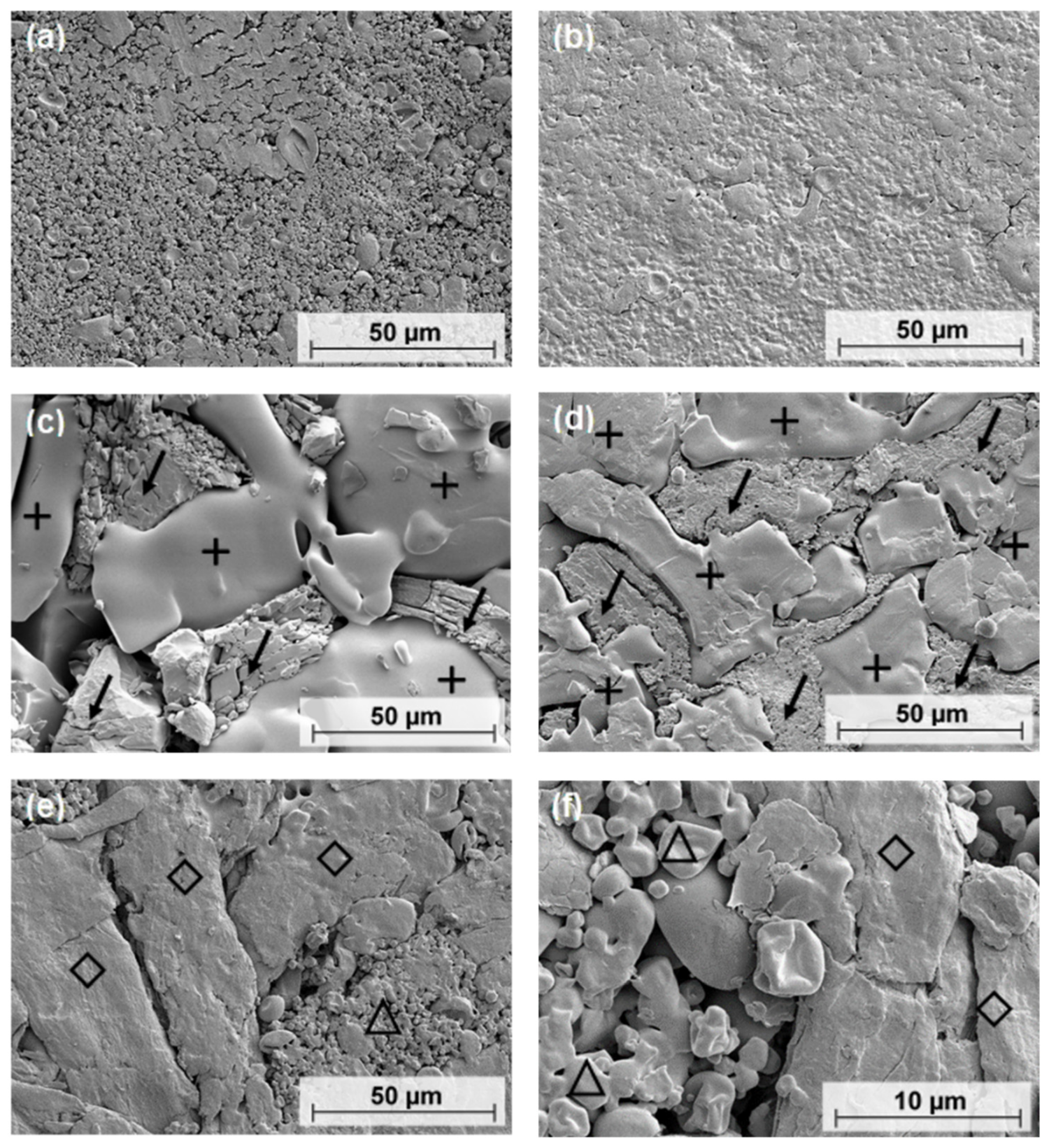 Pharmaceutics 13 01938 g010