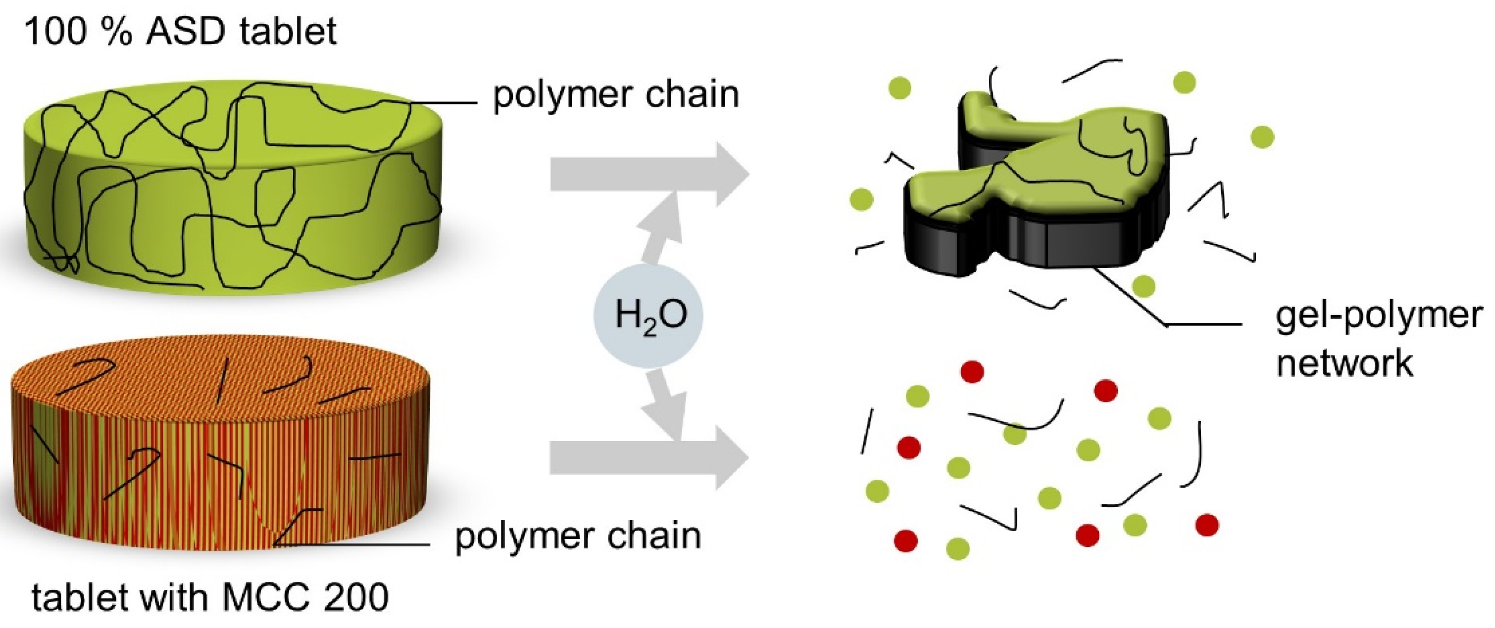 Pharmaceutics 13 01938 g011