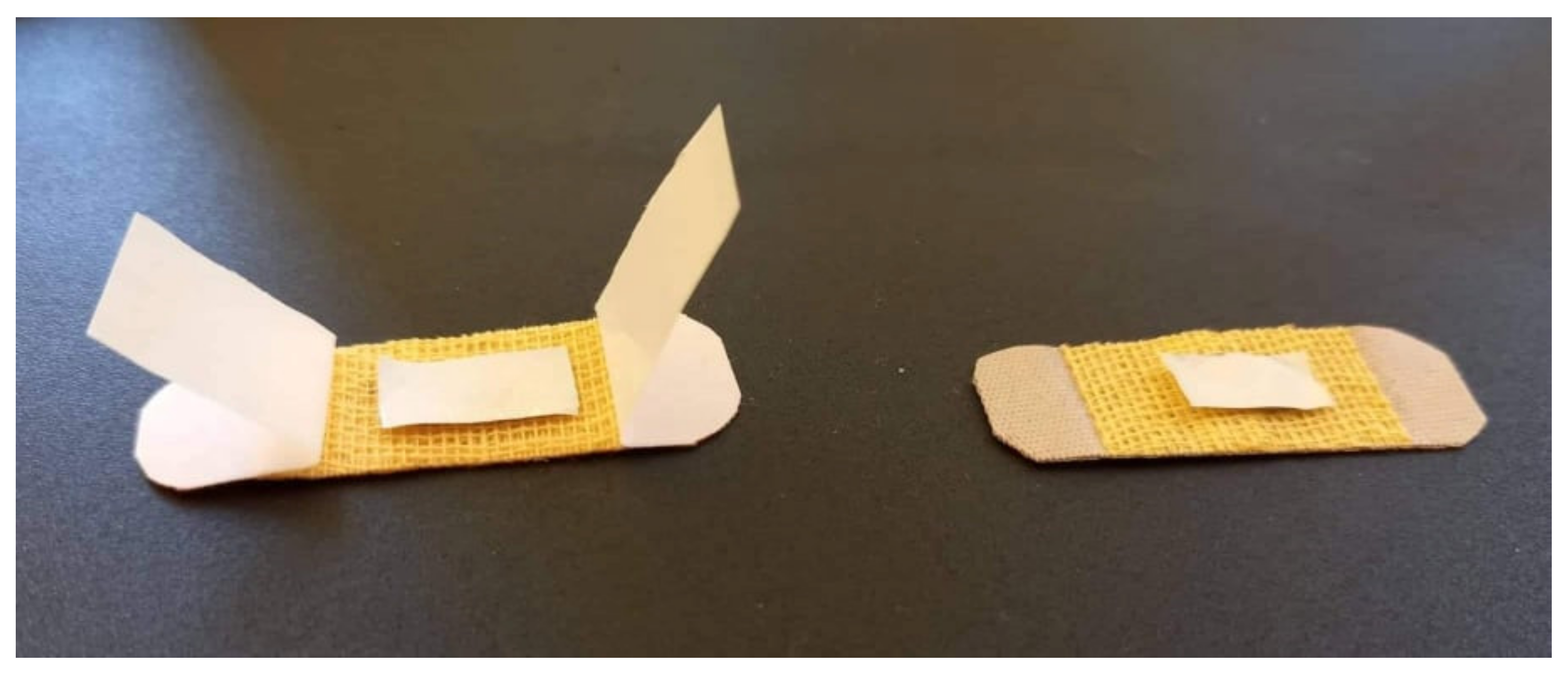 Pharmaceutics 13 01939 g001