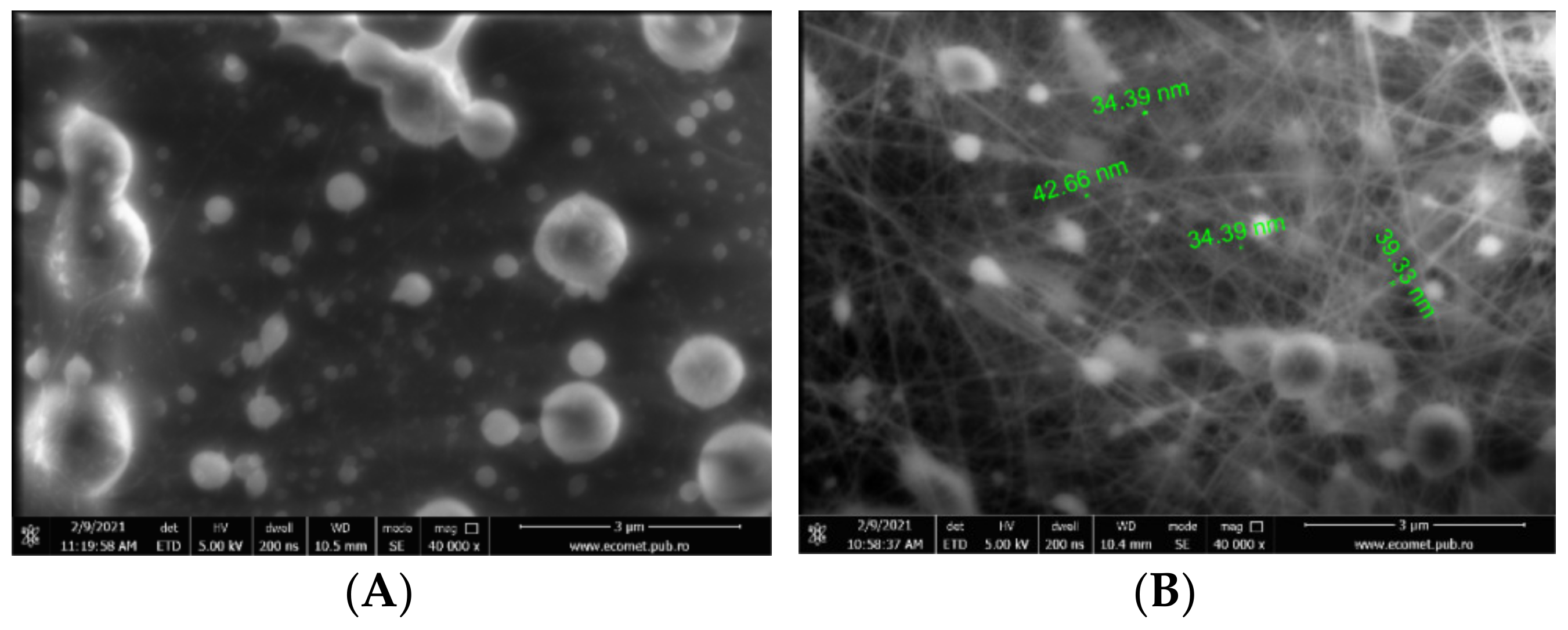Pharmaceutics 13 01939 g003a