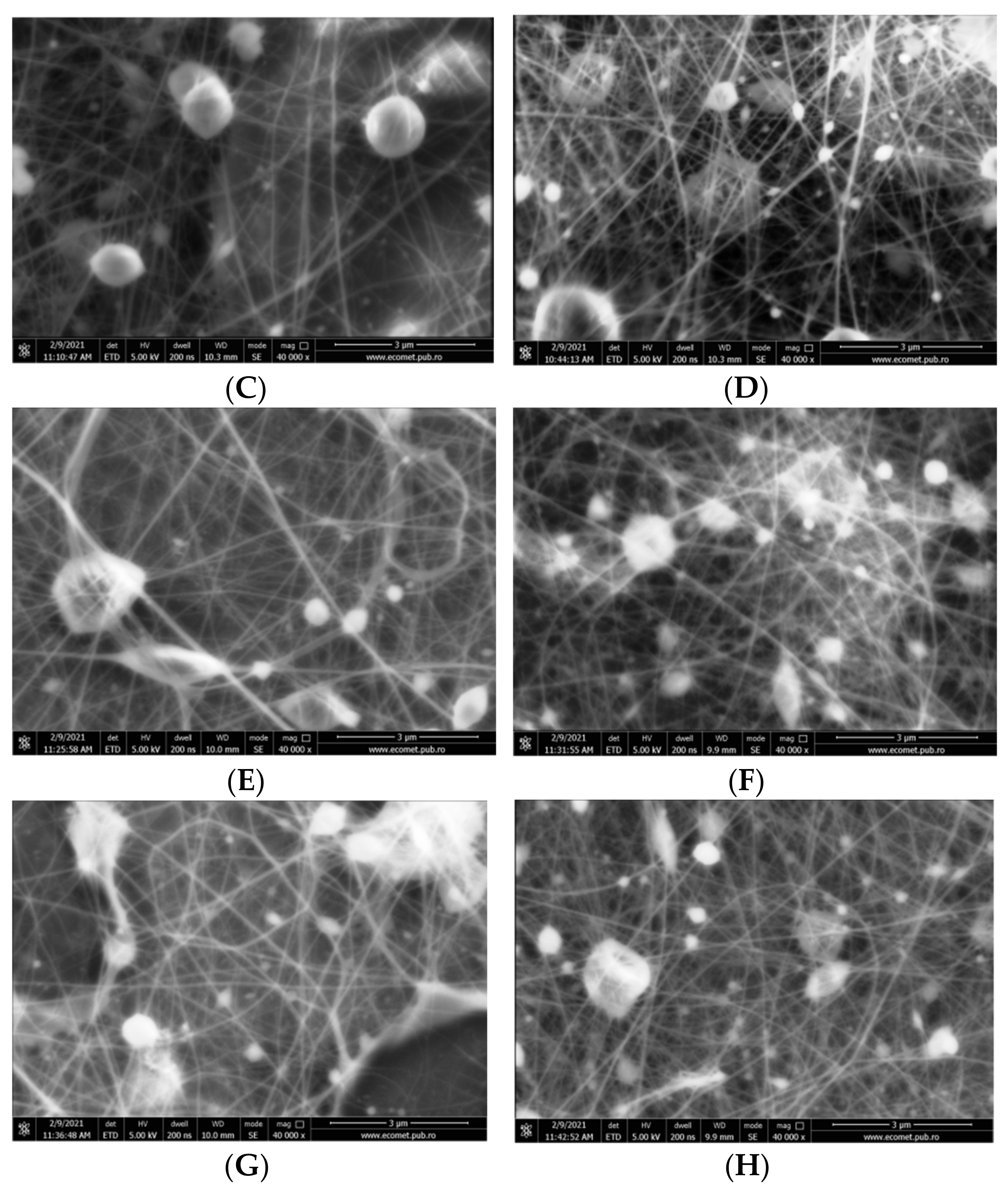 Pharmaceutics 13 01939 g003b