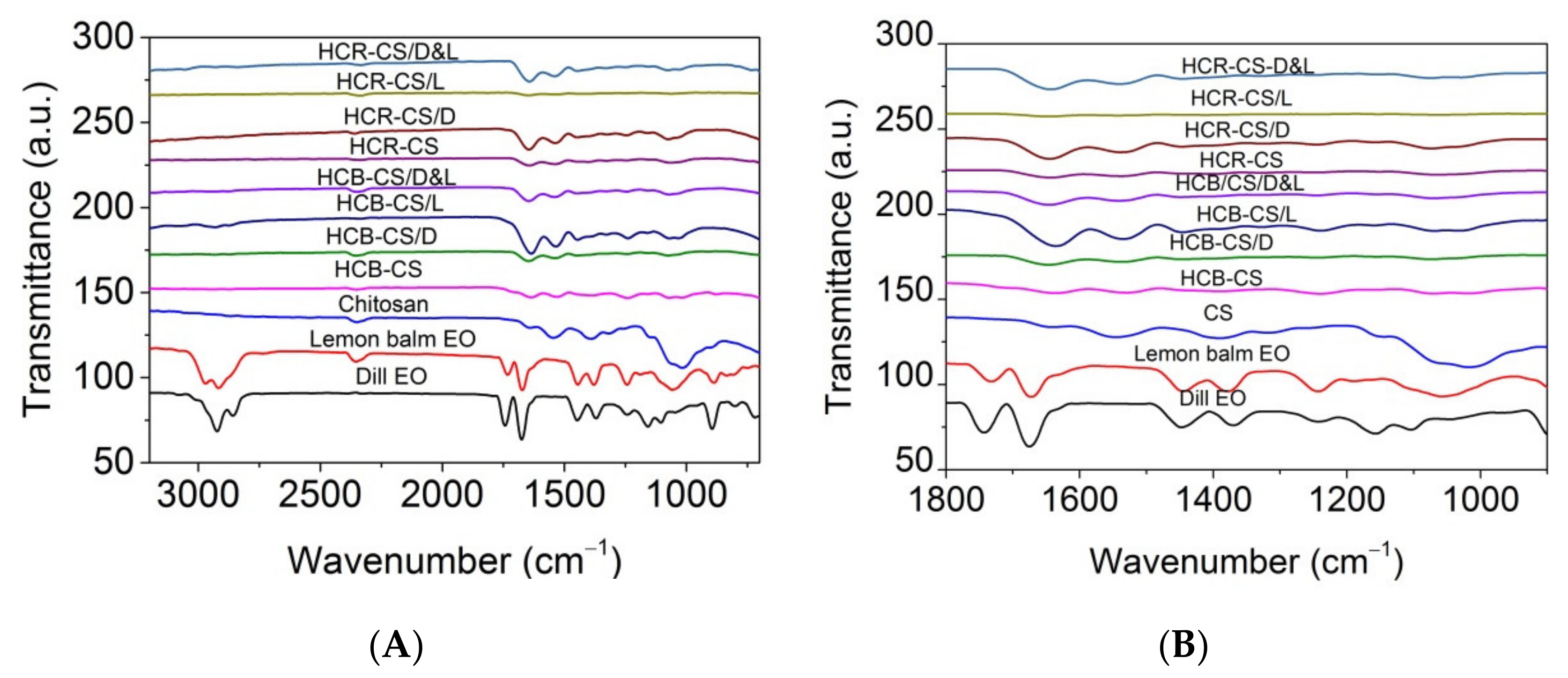 Pharmaceutics 13 01939 g005