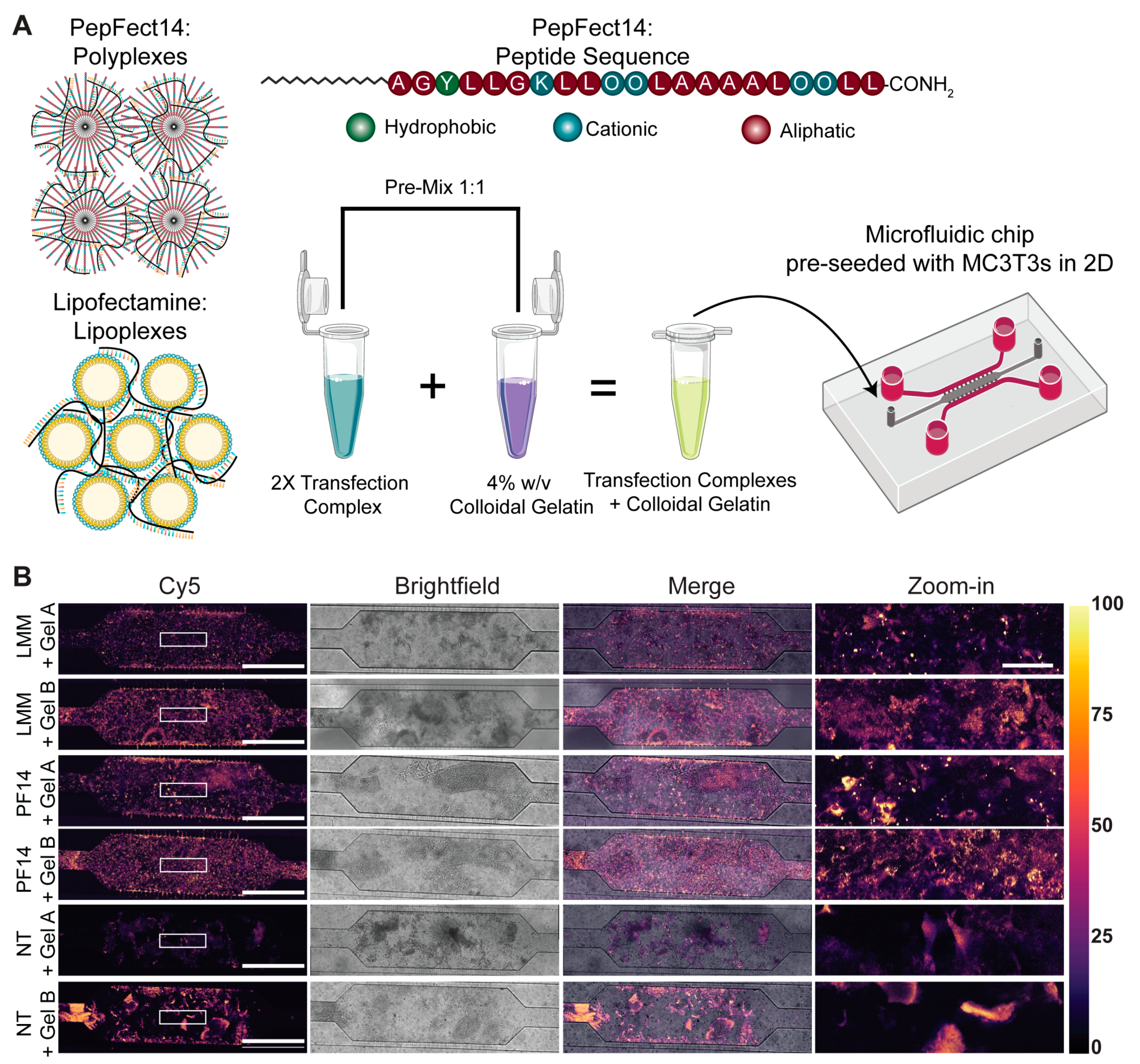 Pharmaceutics 13 01944 g002