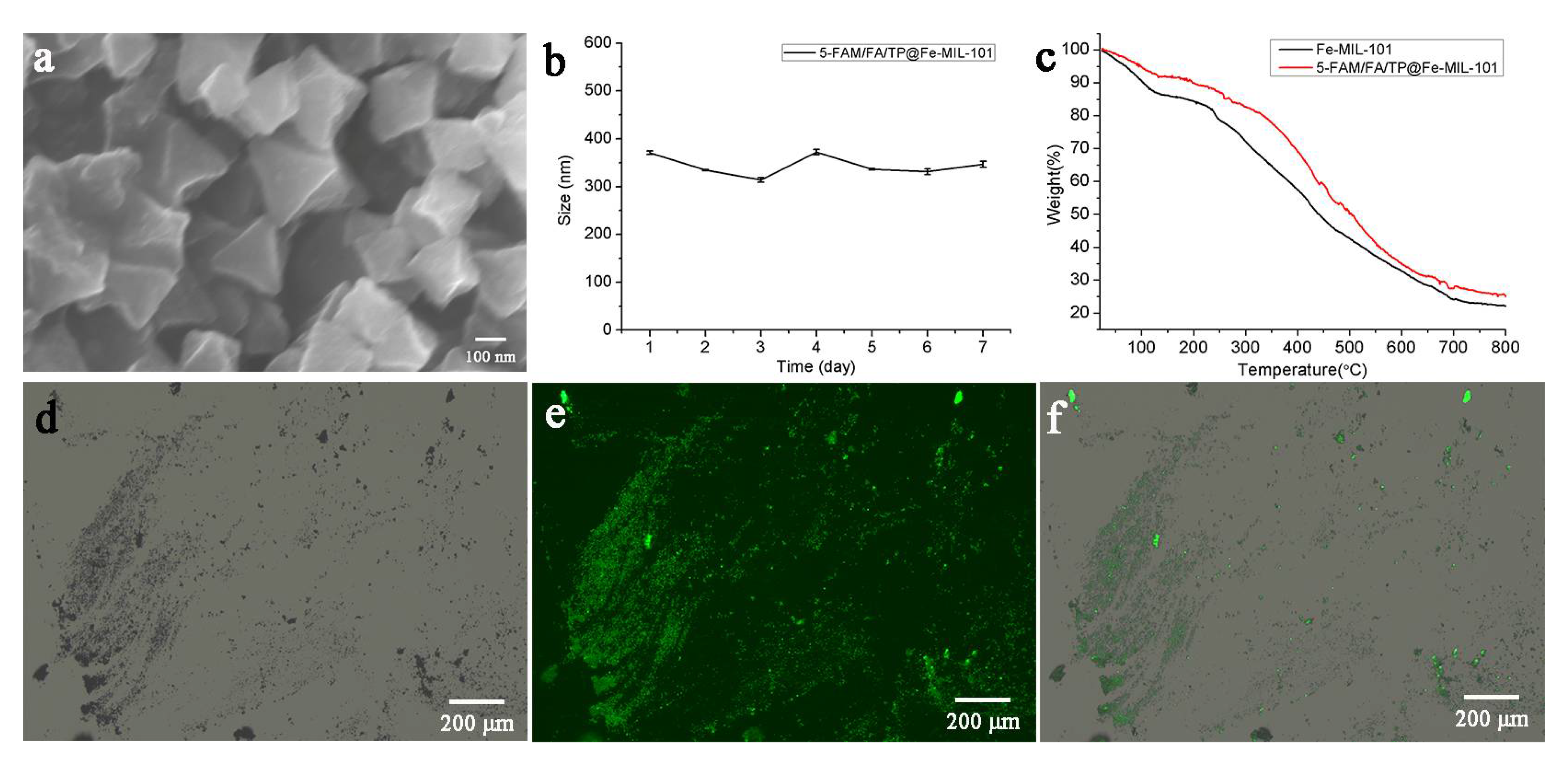 Pharmaceutics 13 01945 g001