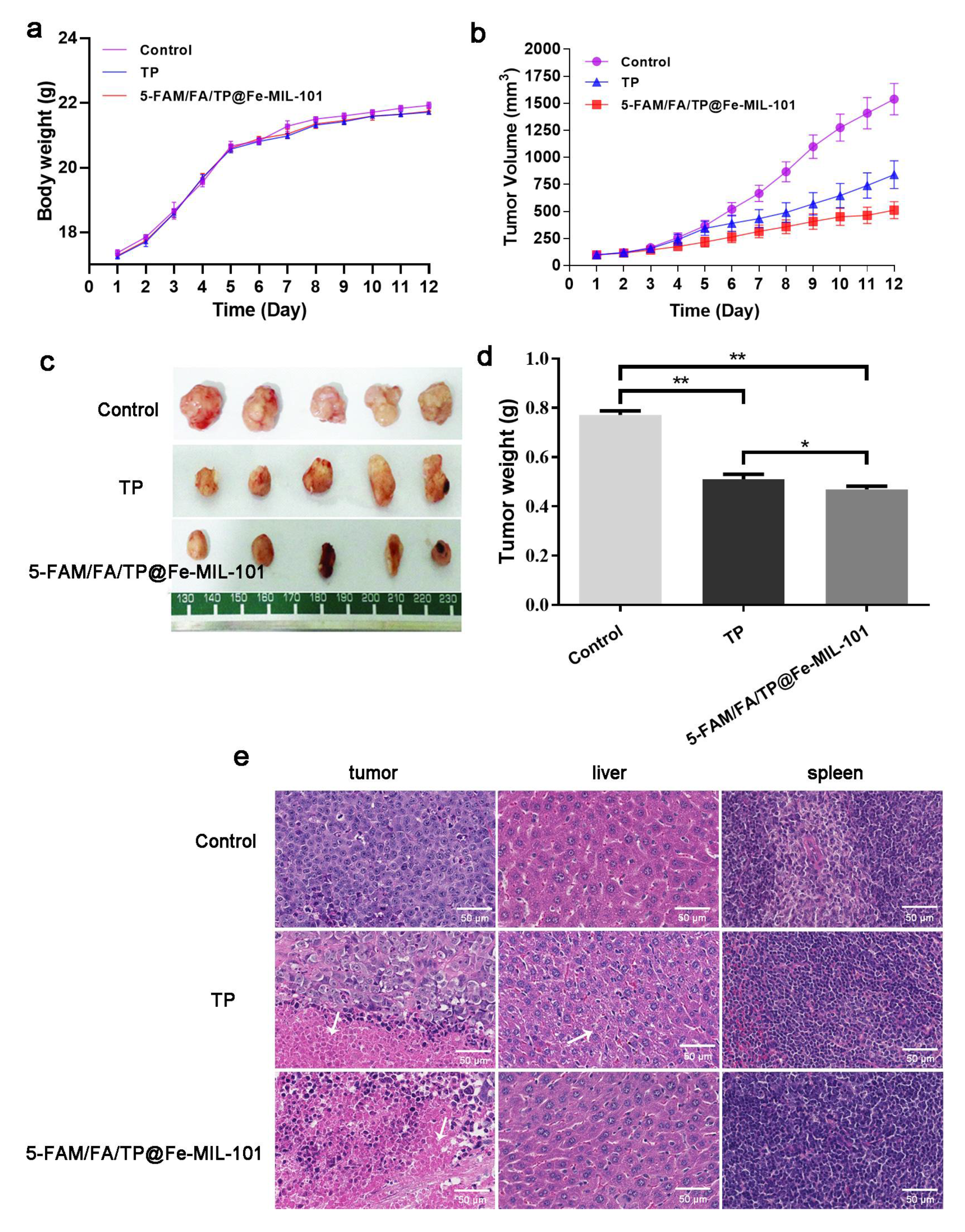 Pharmaceutics 13 01945 g008