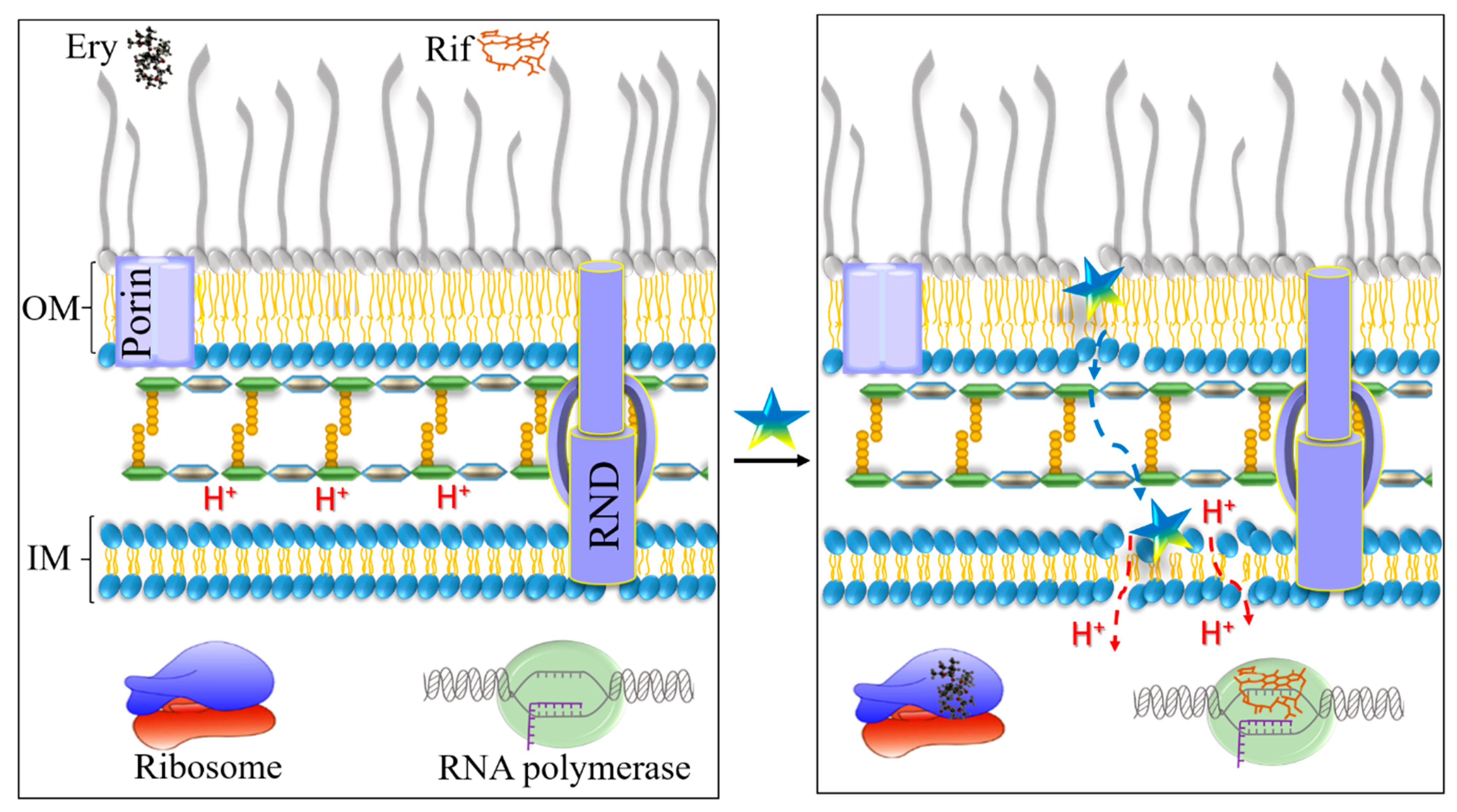 Pharmaceutics 13 01947 g008