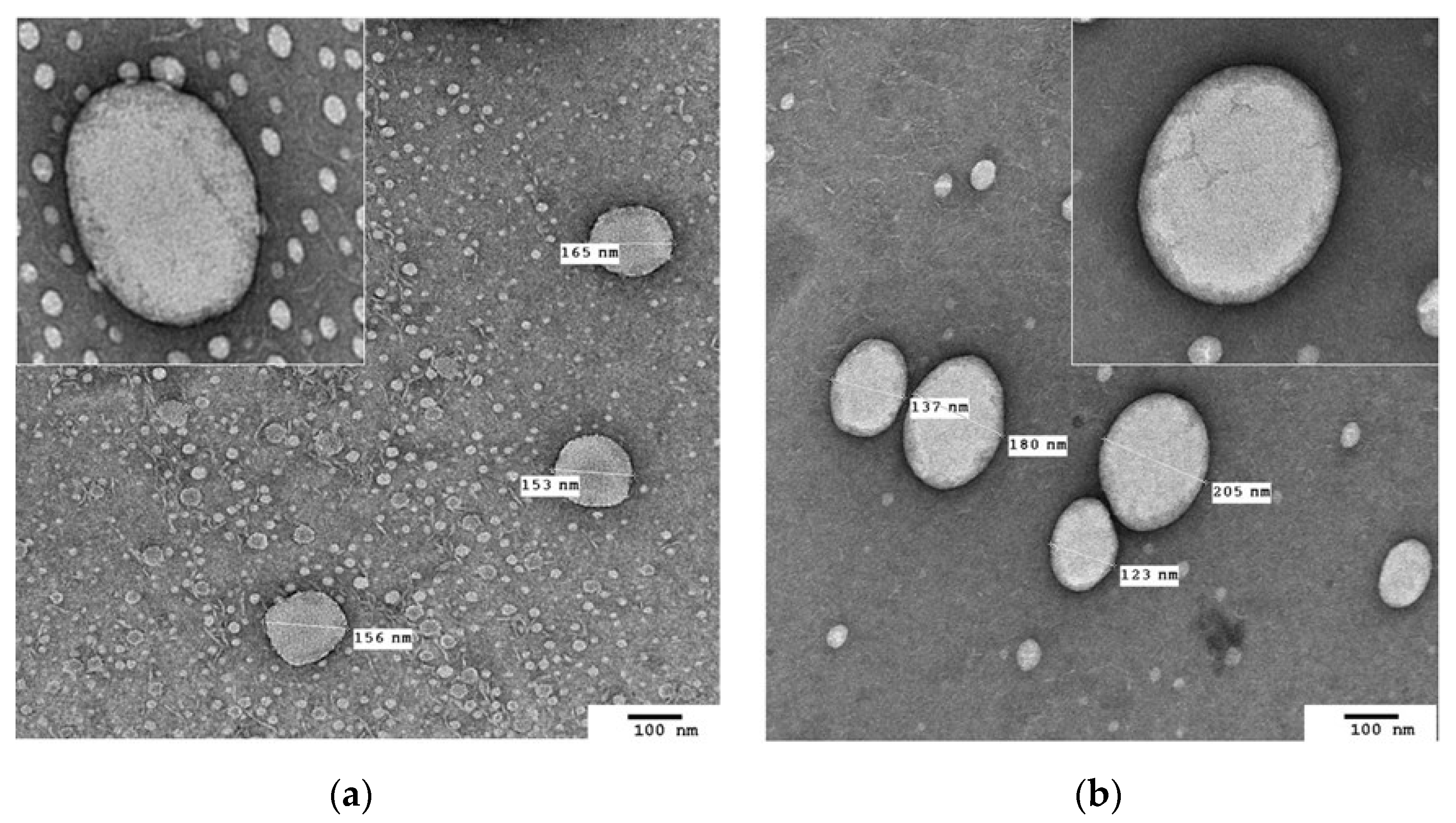 Pharmaceutics 13 01950 g002