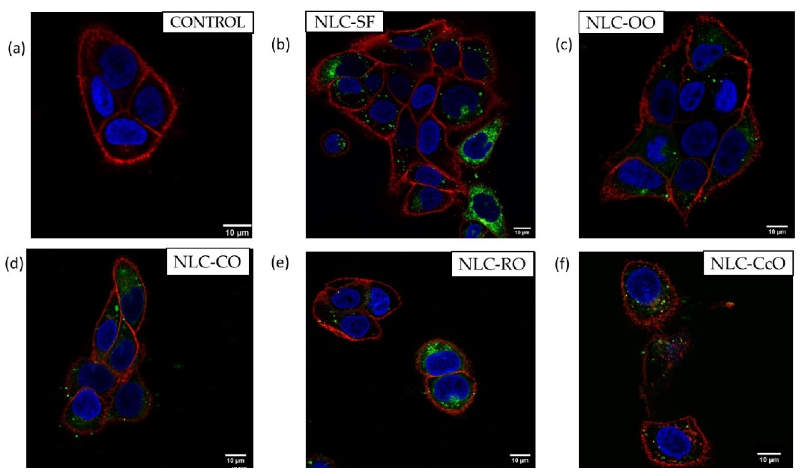 Pharmaceutics 13 01950 g009