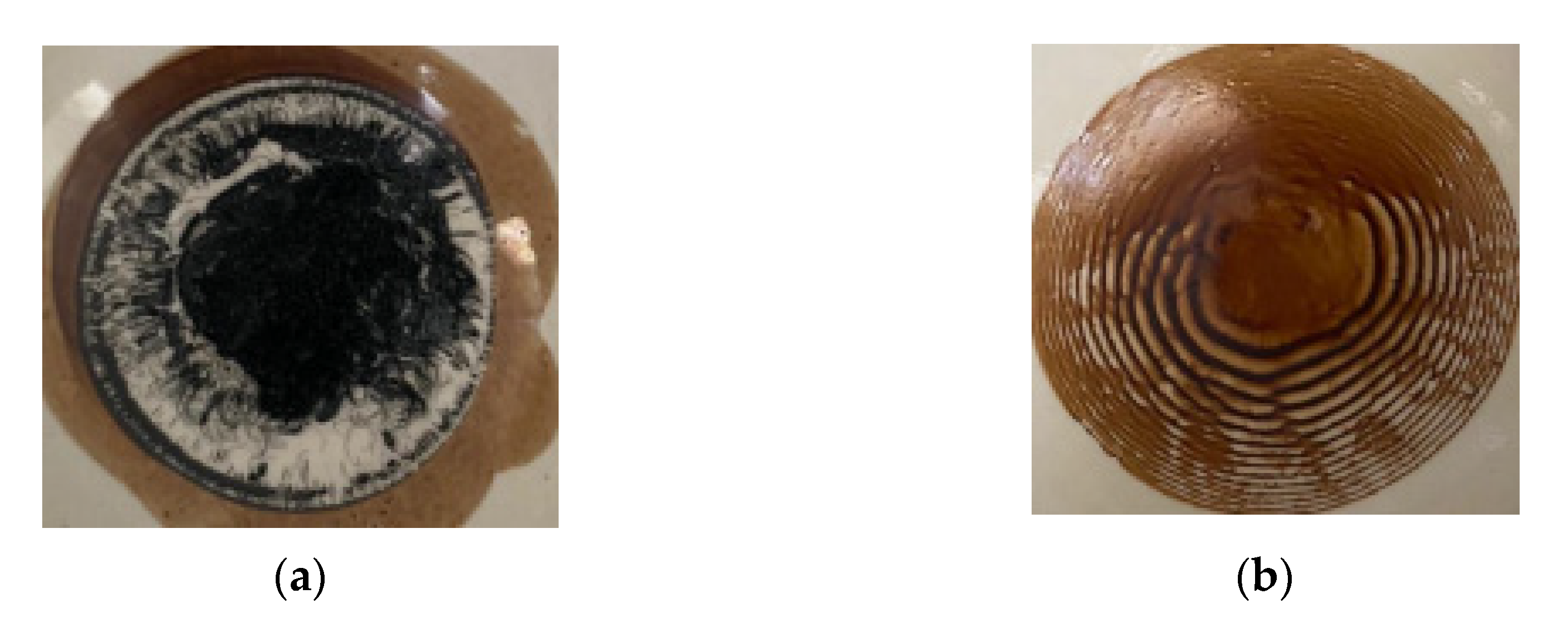 Pharmaceutics 13 01954 g001