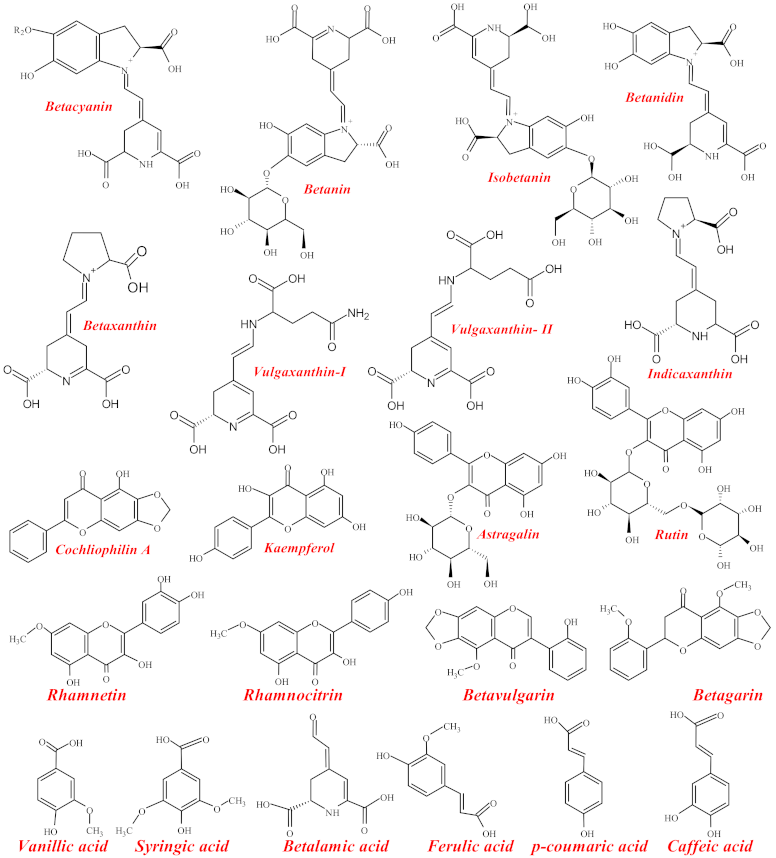 Pharmaceutics 13 01957 g001