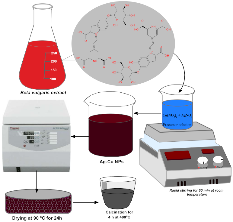 Pharmaceutics 13 01957 g002