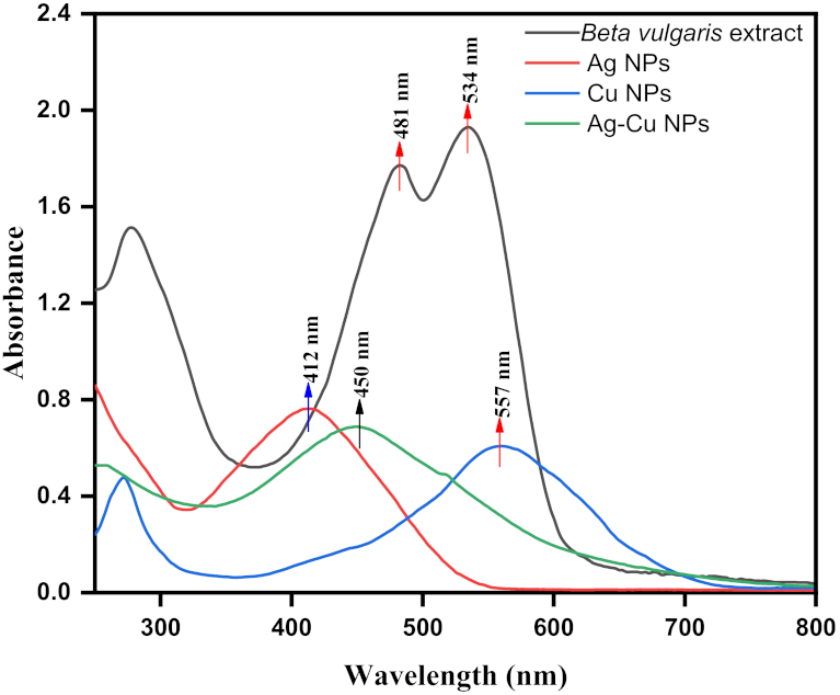 Pharmaceutics 13 01957 g003
