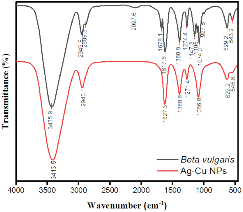 Pharmaceutics 13 01957 g004
