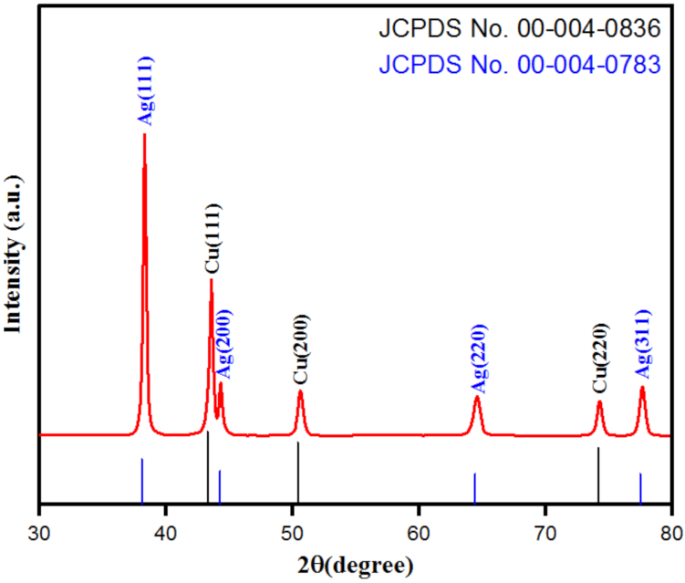 Pharmaceutics 13 01957 g005