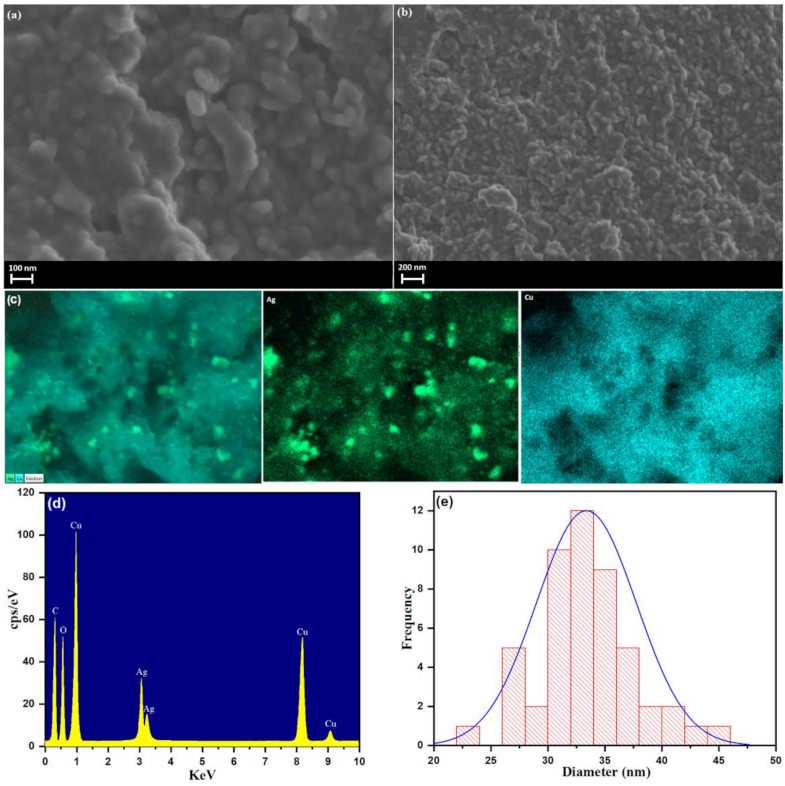 Pharmaceutics 13 01957 g006