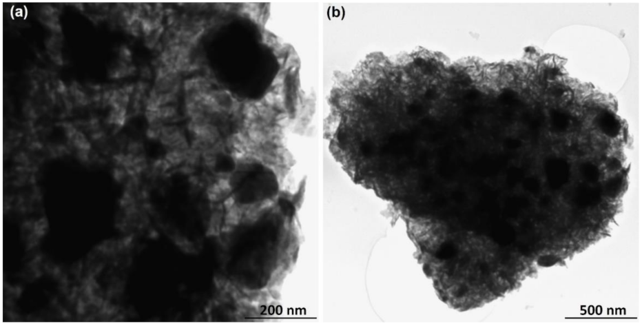 Pharmaceutics 13 01957 g007