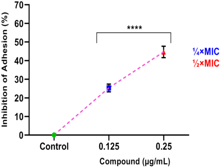 Pharmaceutics 13 01957 g010