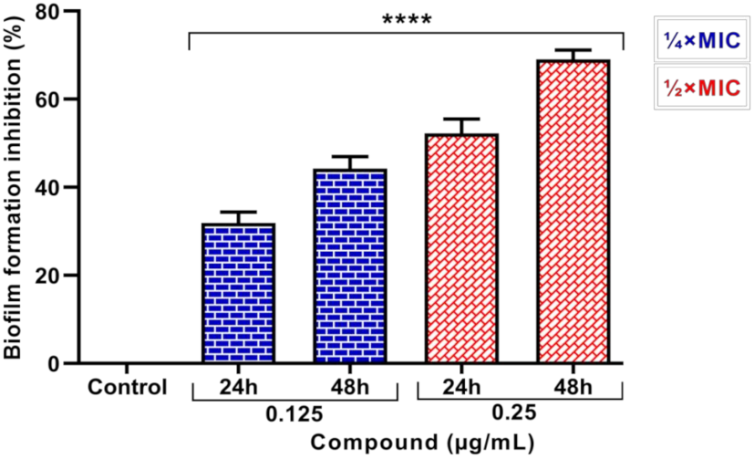 Pharmaceutics 13 01957 g012