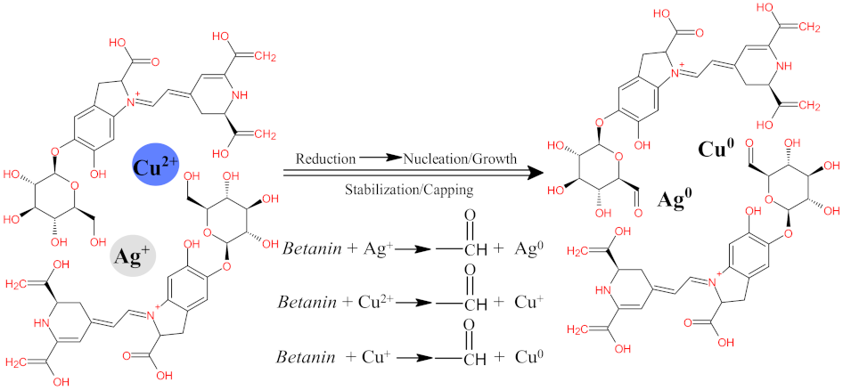 Pharmaceutics 13 01957 sch001
